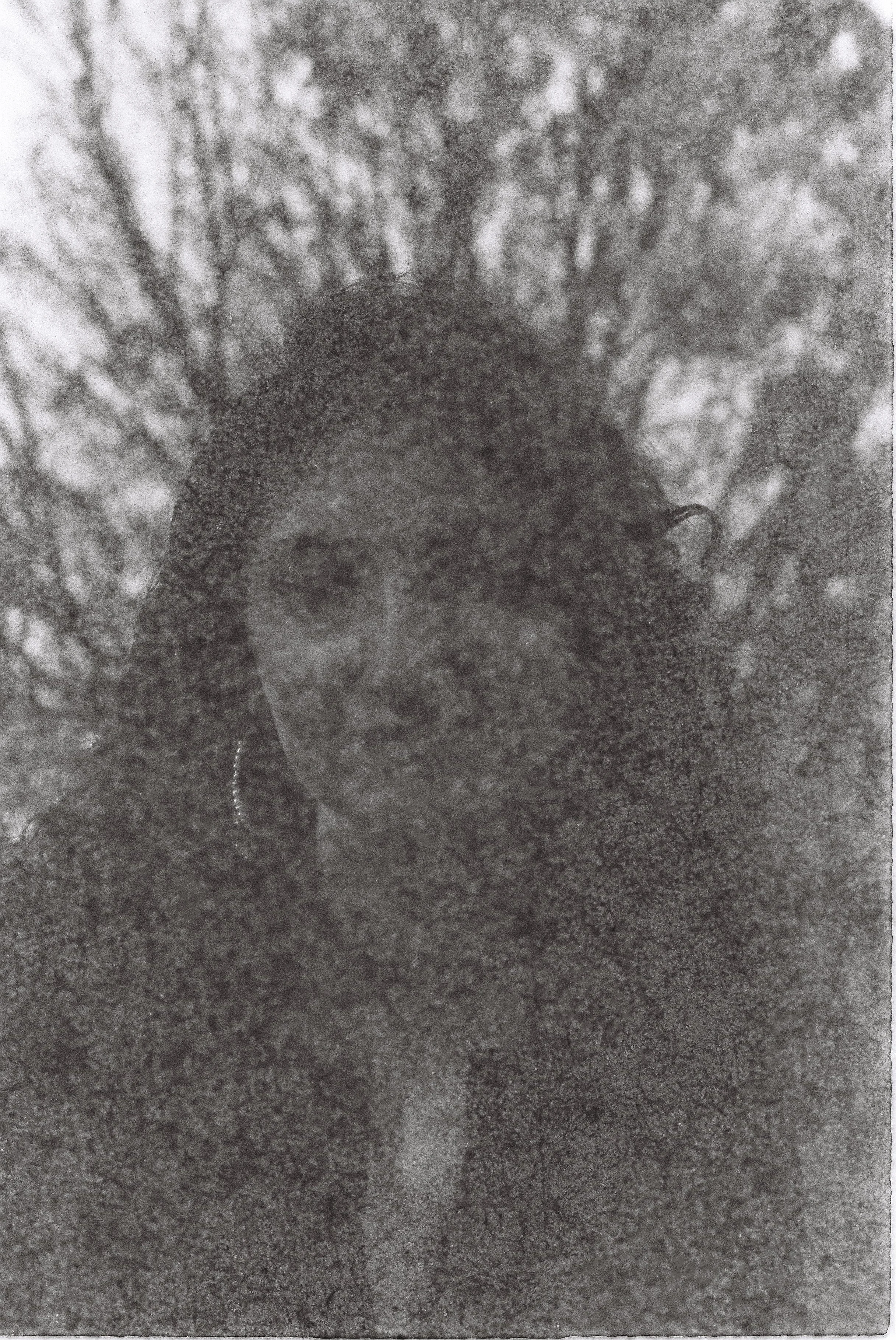 R1-00952-0019.JPG