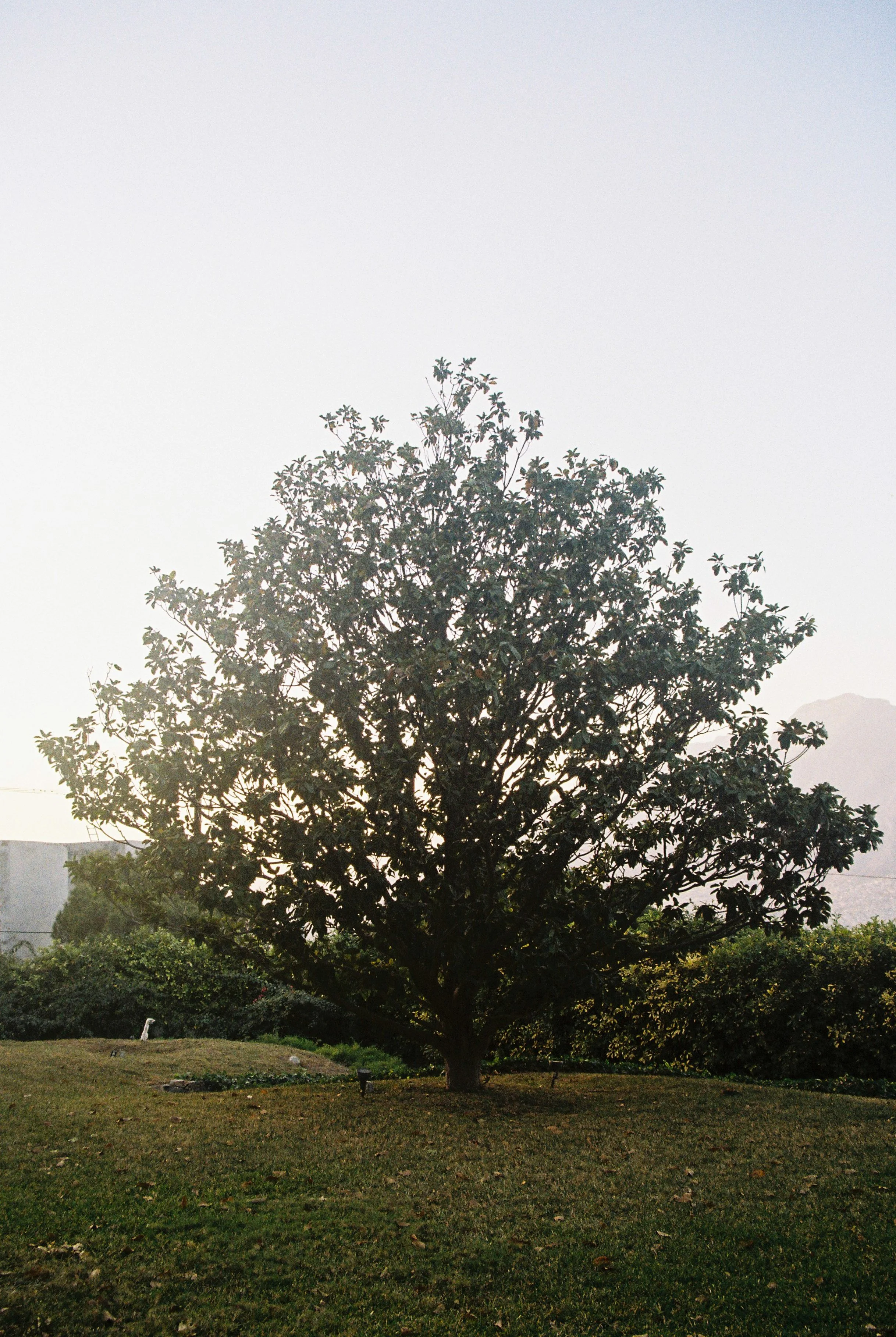4248-035.jpg