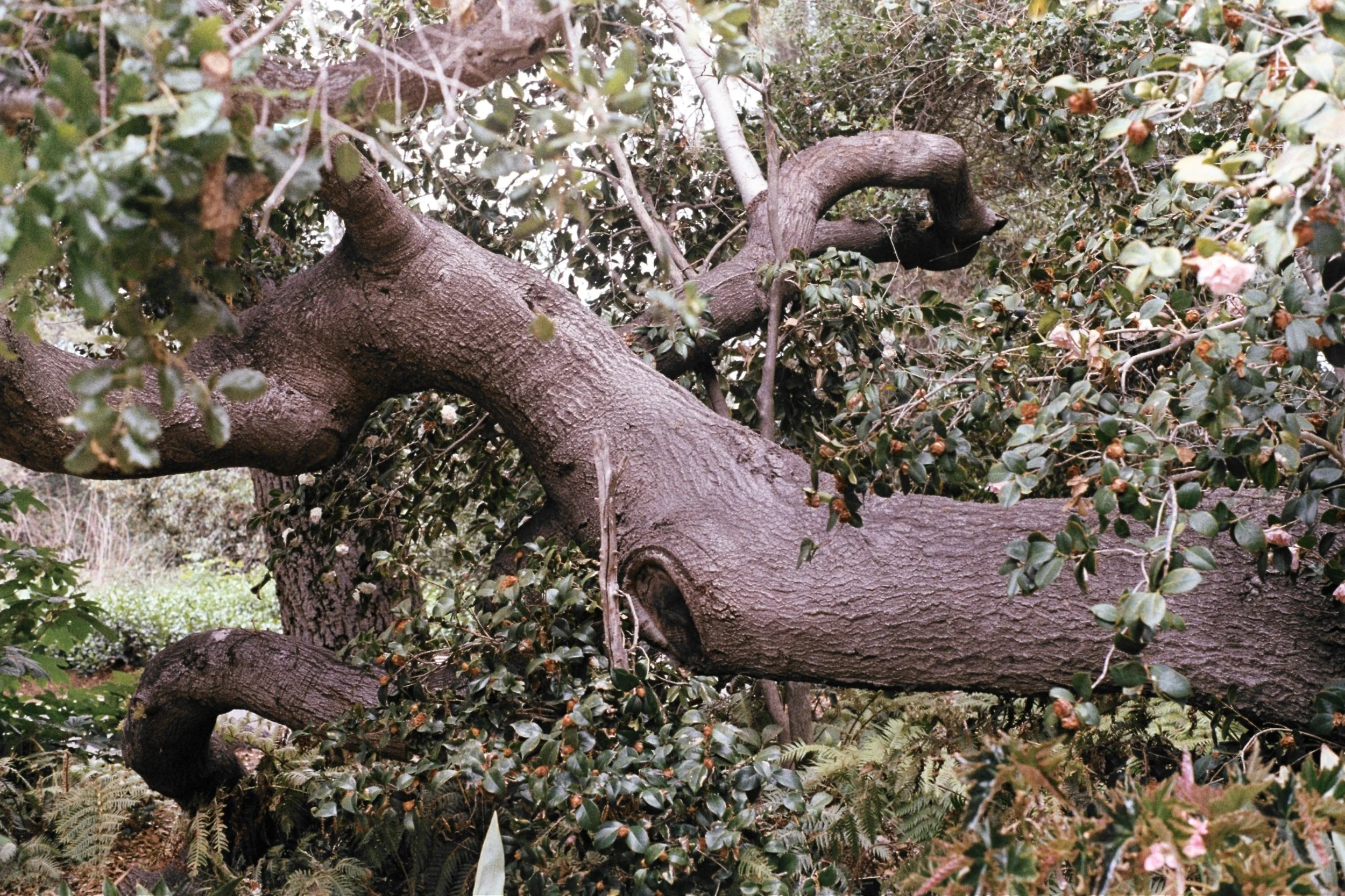 MatiasAE025.jpg