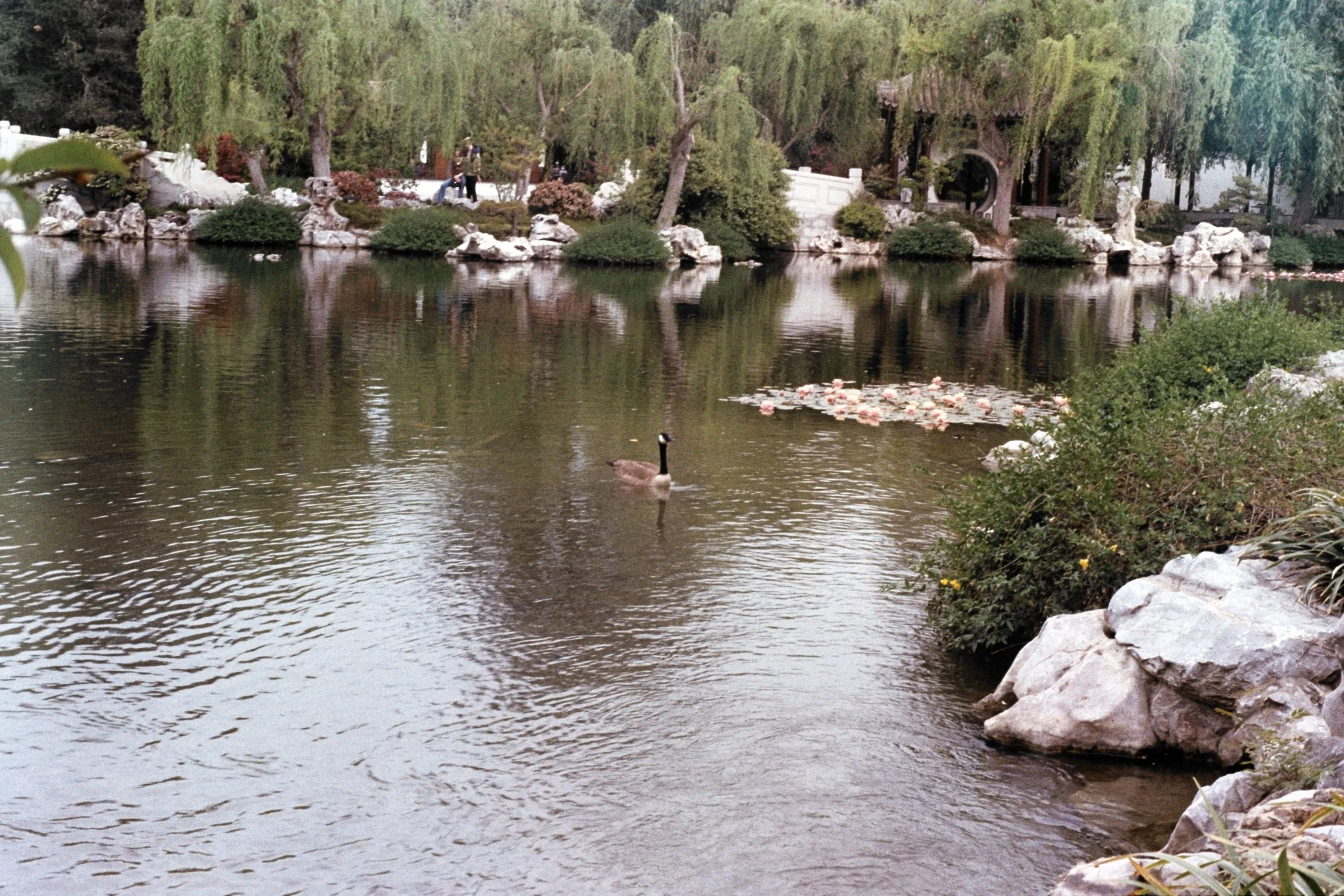 MatiasAE031.jpg