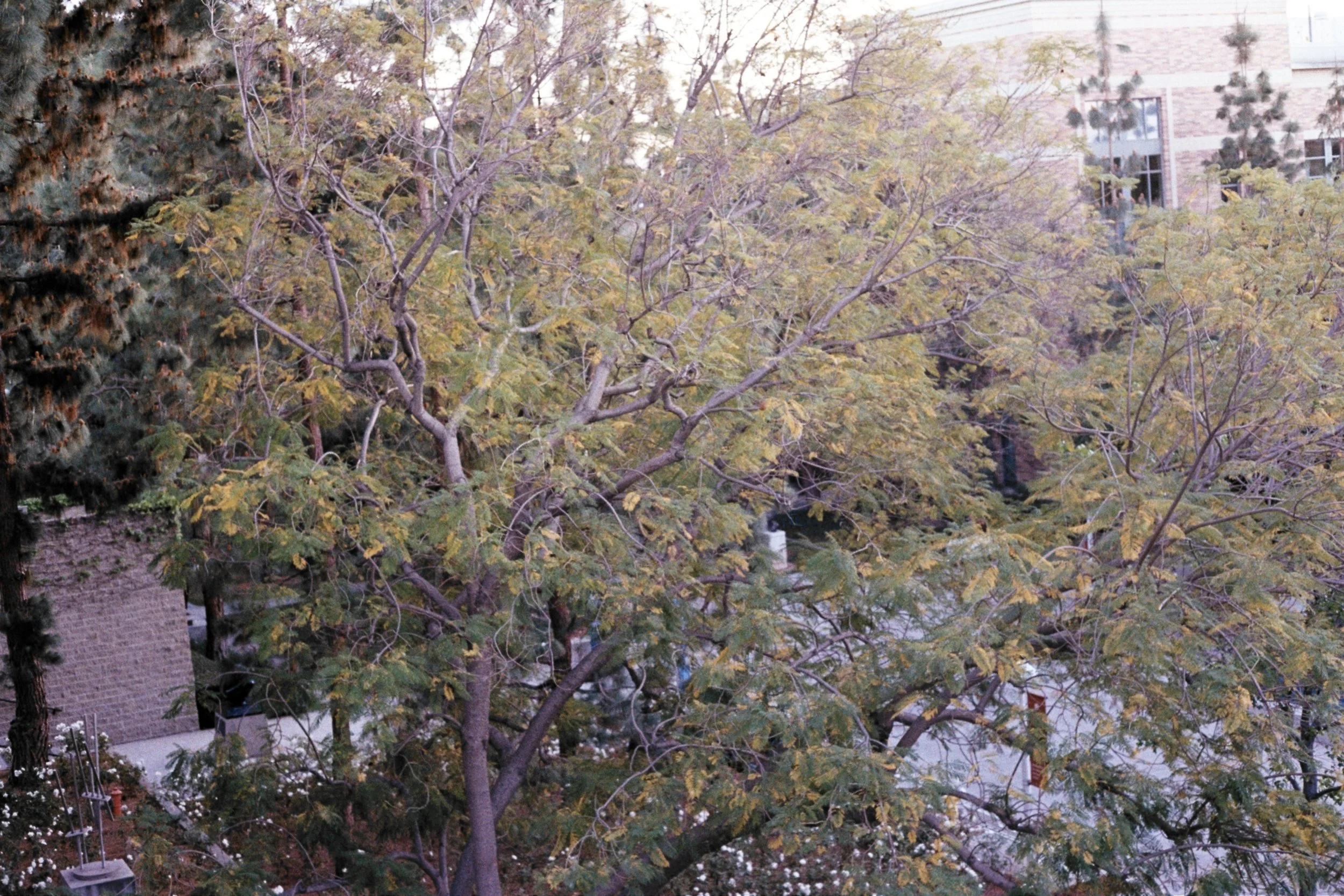 MatiasAD010.jpg