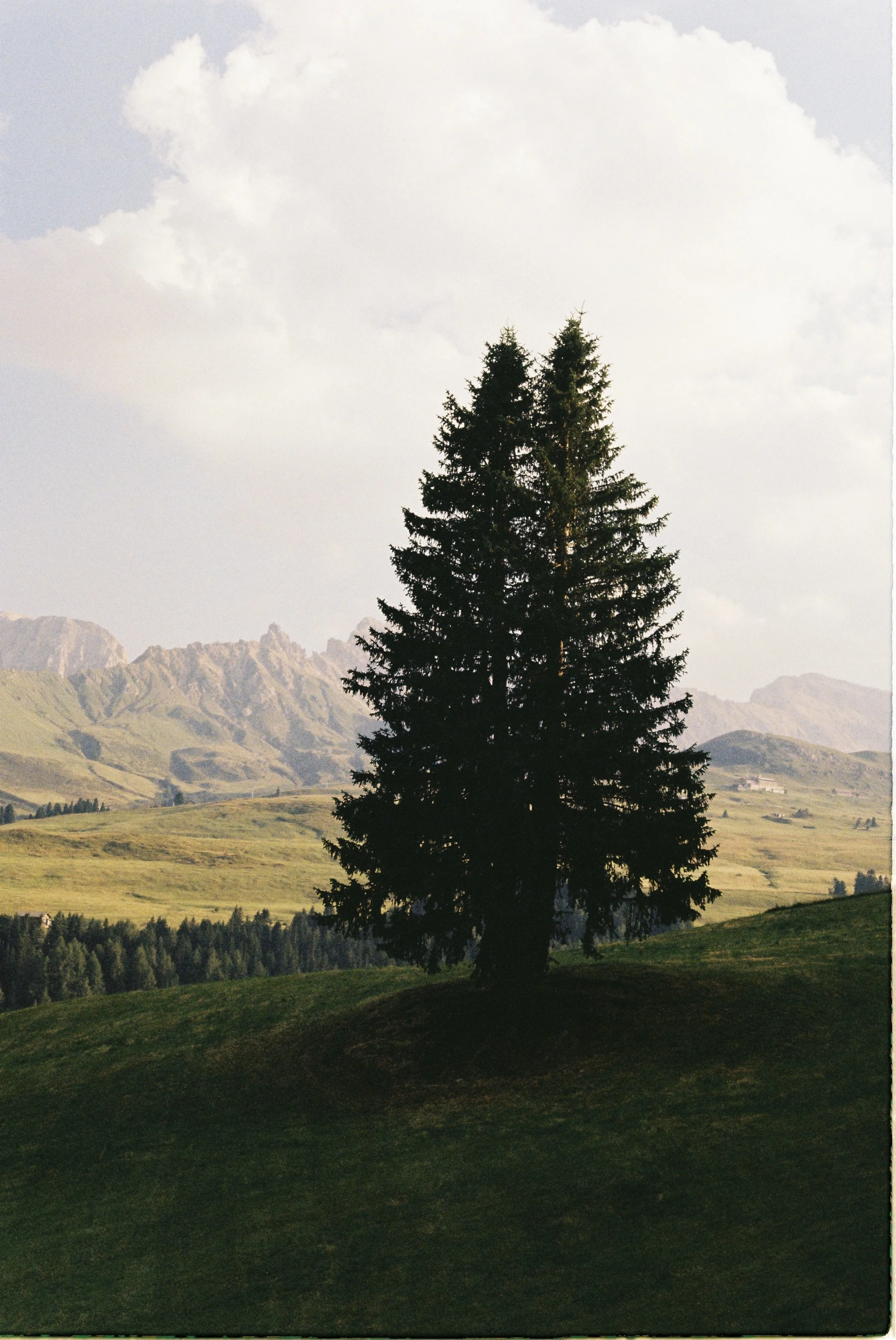R1-00940-019A.JPG