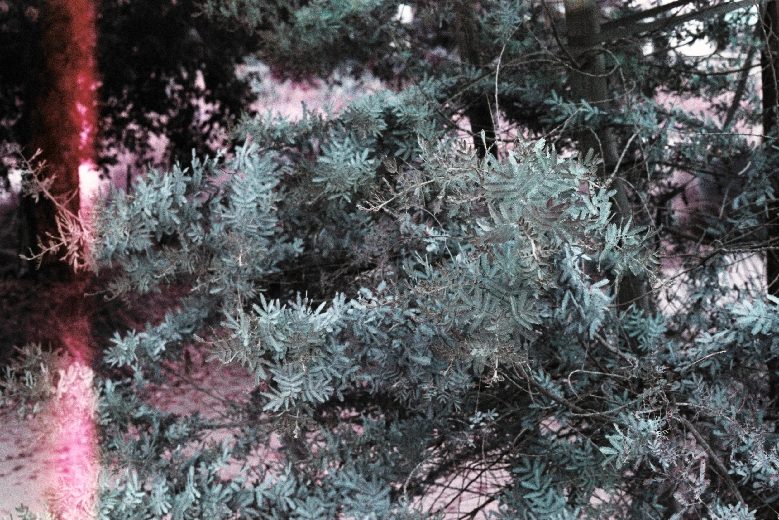 0C0B5356-B783-447C-B237-BA7309944410.jpeg