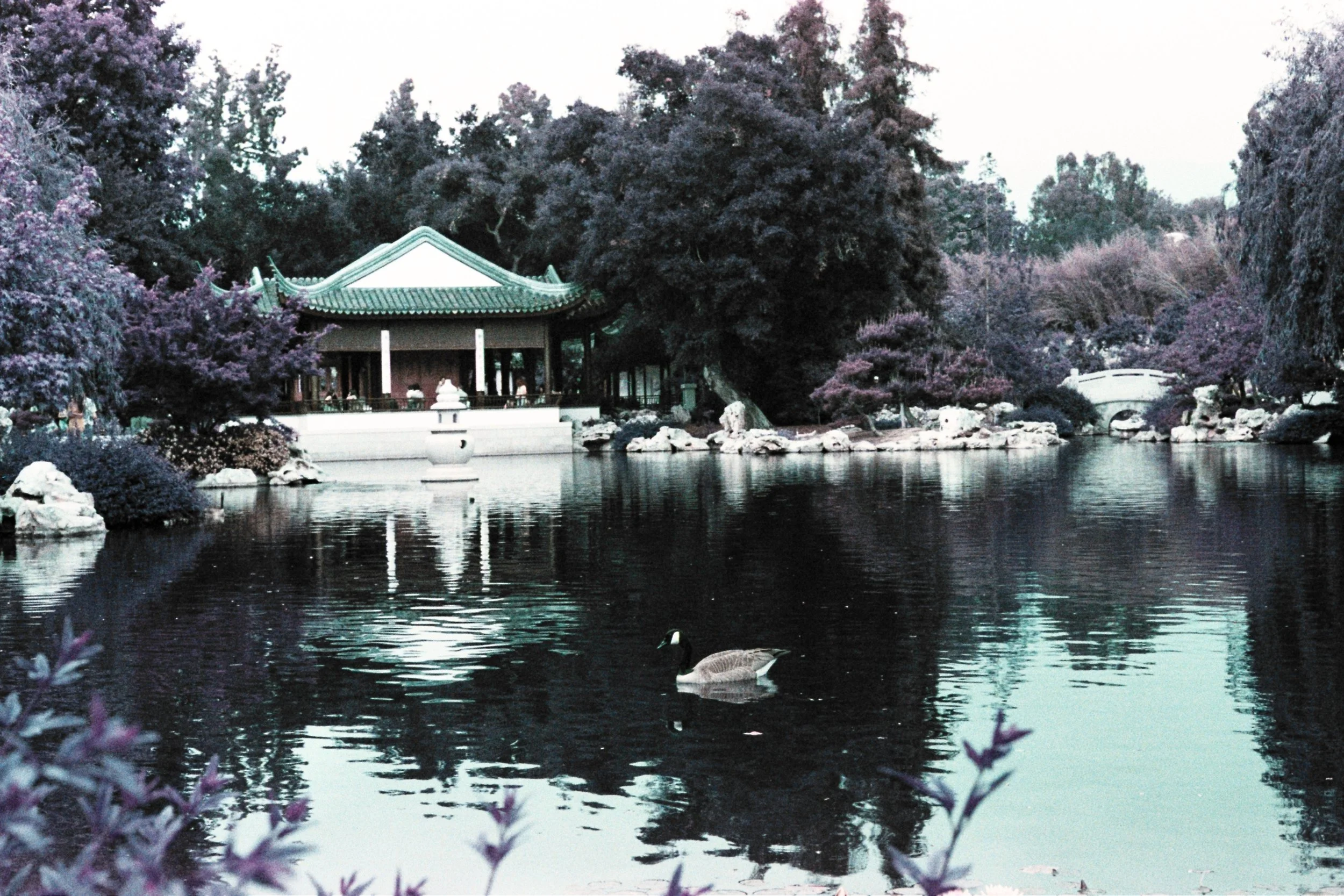 MatiasAB024.jpg