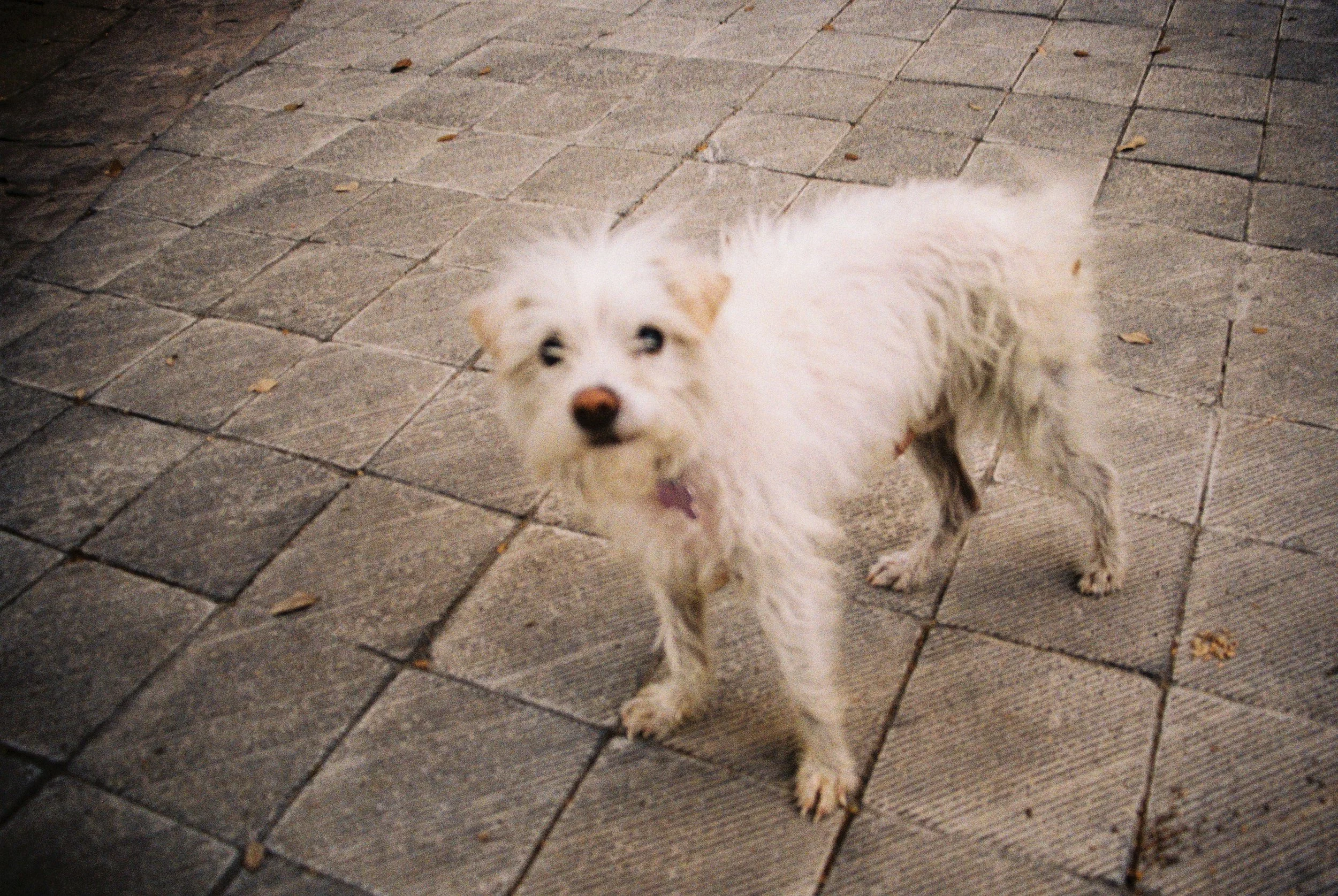 4248-008.jpg