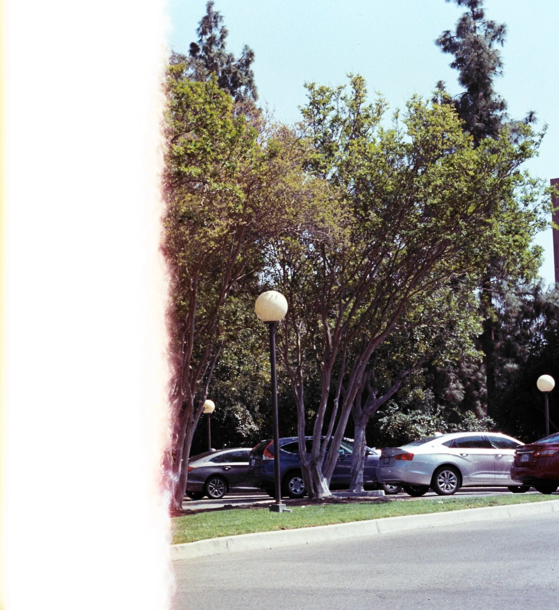 MatiasAA022.jpg