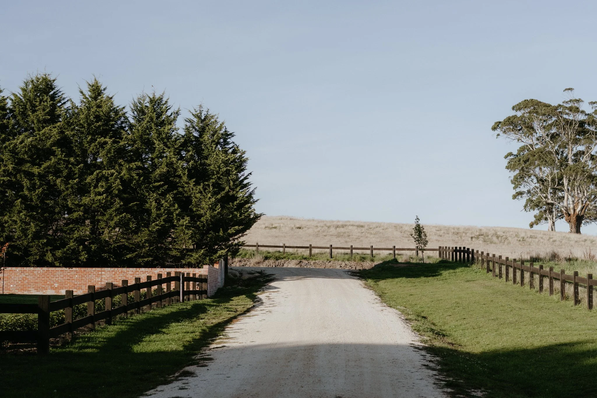 DSC_2112.jpg