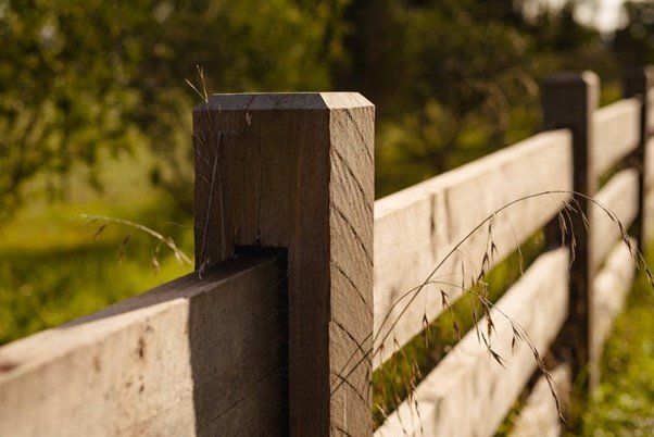 Blog Post_Know Your Timber_Victorian Cypress Macrocarpa Fencing_Grey.jpg