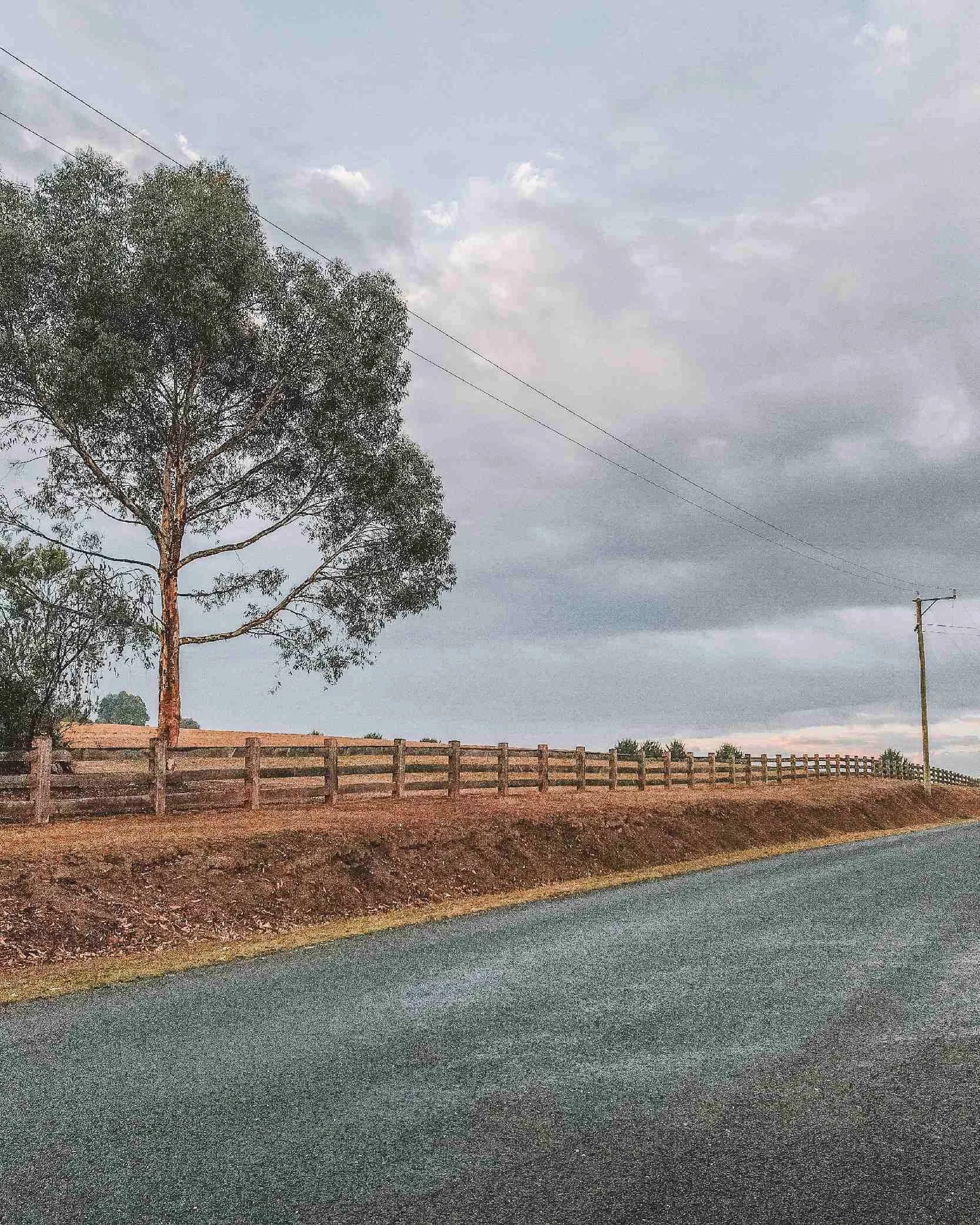 Kangaroo Ground, VIC