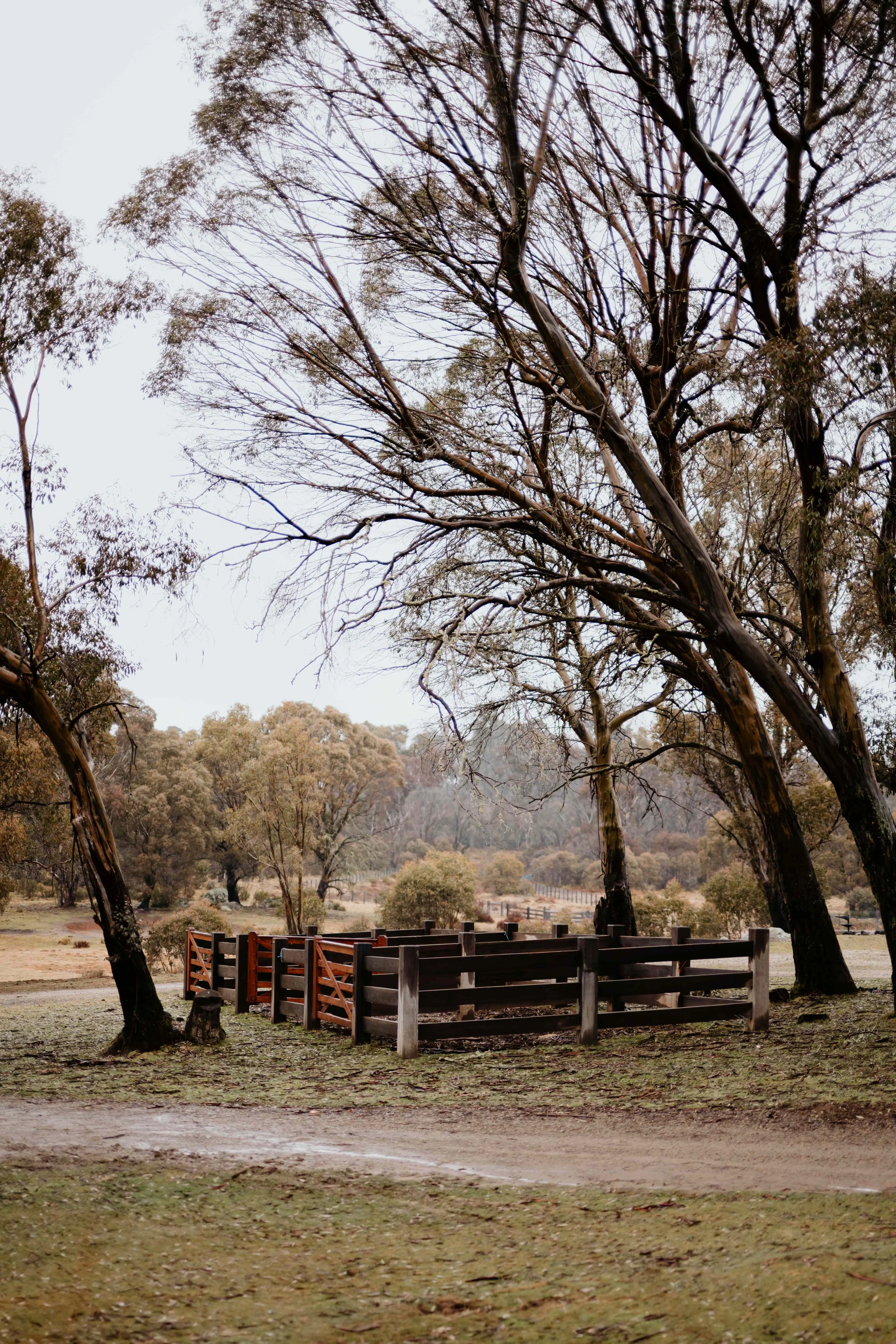 Tumbarumba, NSW
