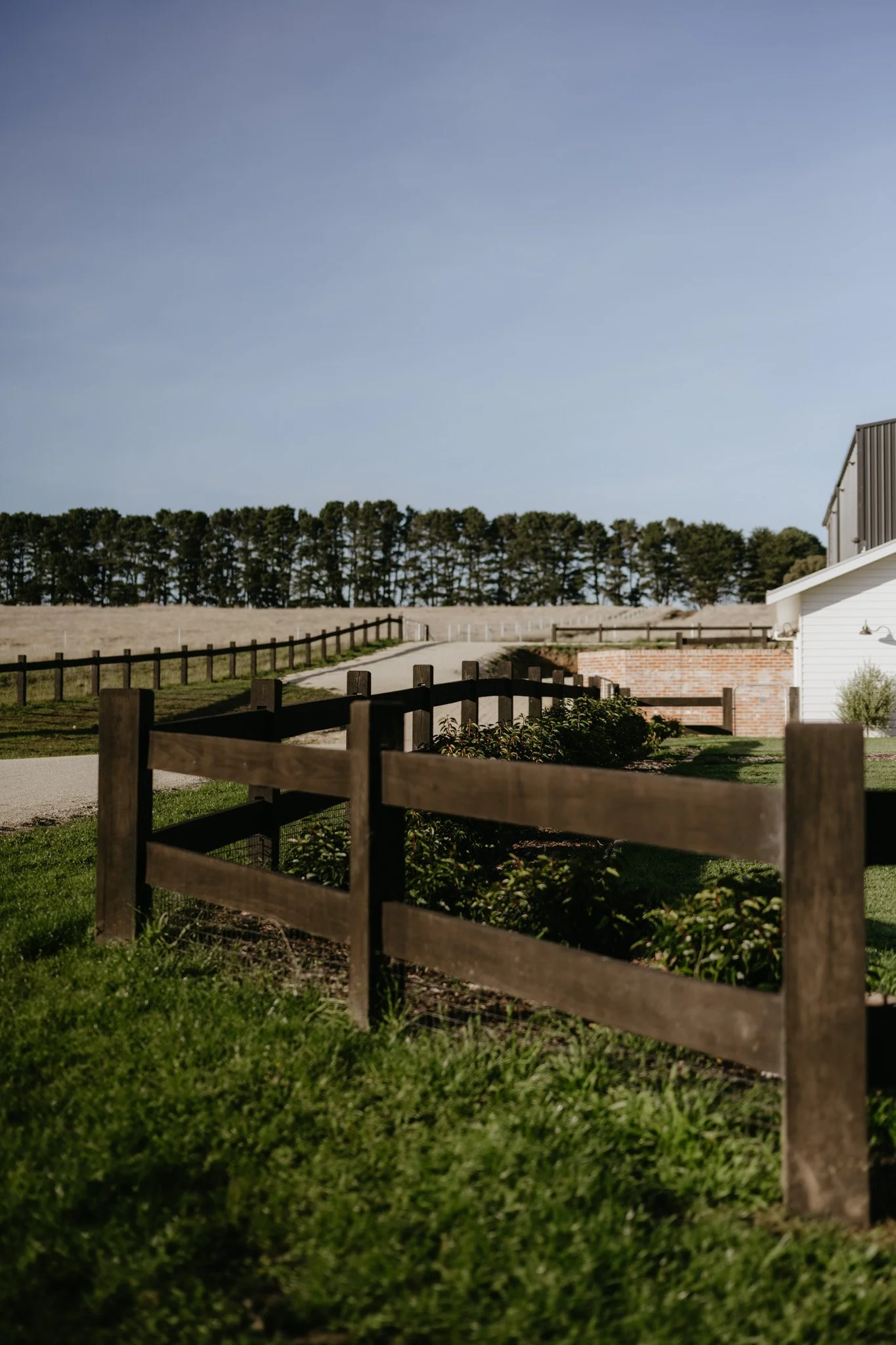 DSC_2166.jpg