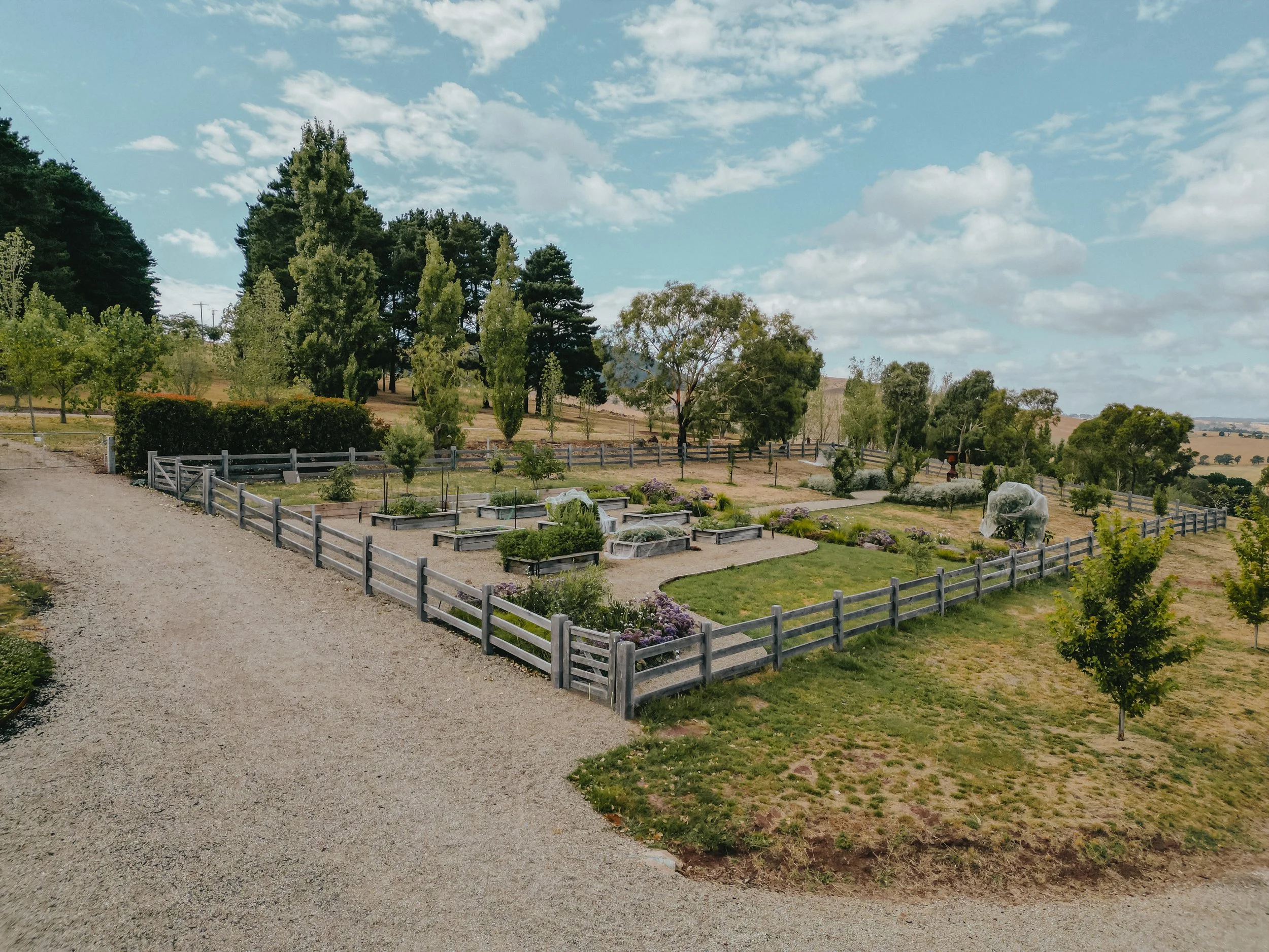 DJI_0298-2.jpg