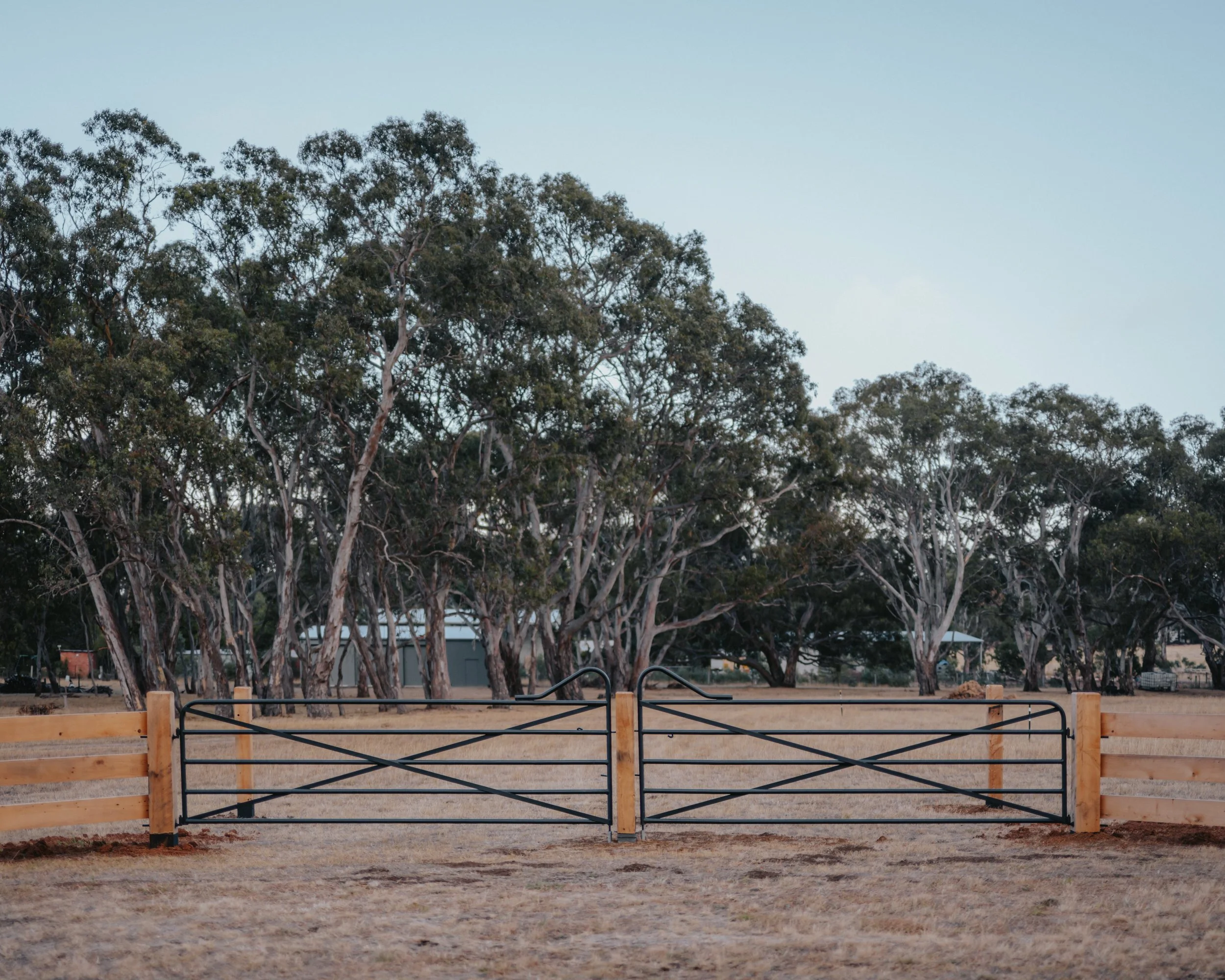 Timber fence Blackridge steel gates farm gates lifestyle property Strukta