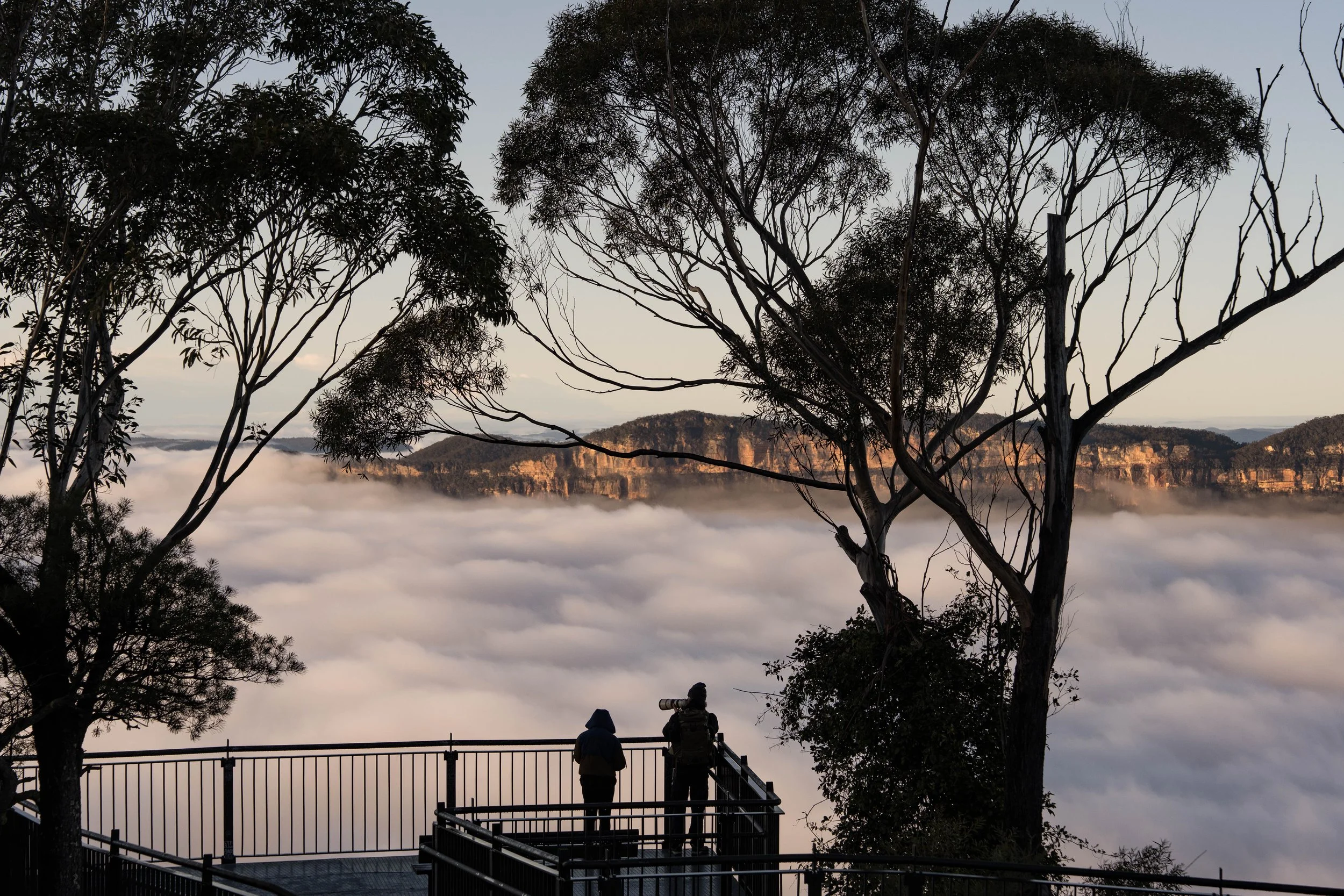 Fog settled into the Jamieson Valley as you lookout to the golden sandstone escarpment. Katoomba lookouts are spectacular!