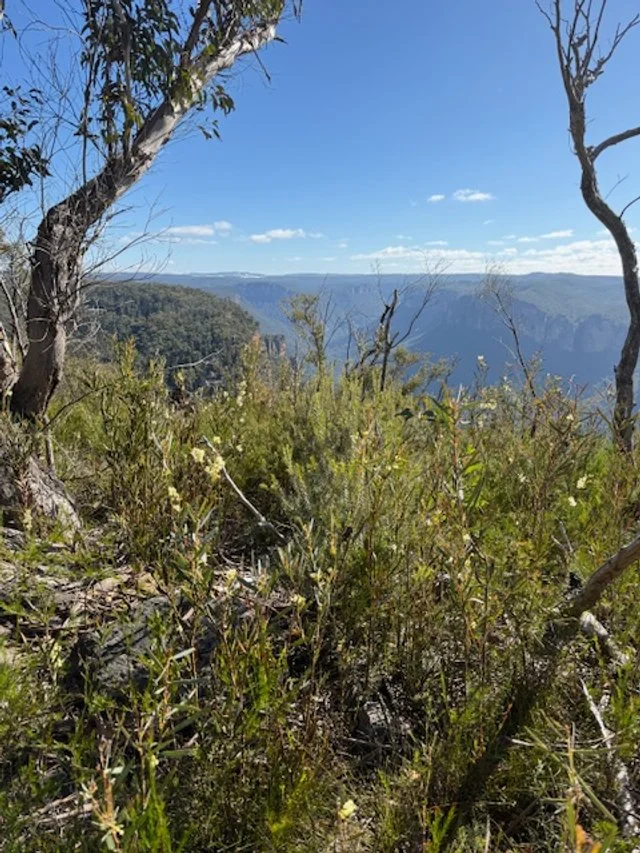 Which Towns are Best to Visit in the Upper Blue Mountains?