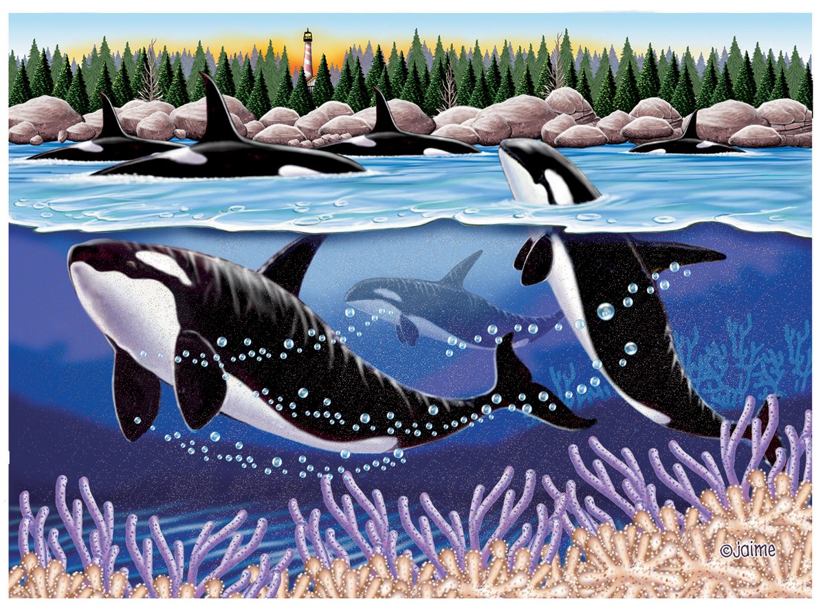 N801 ORCAS.jpg