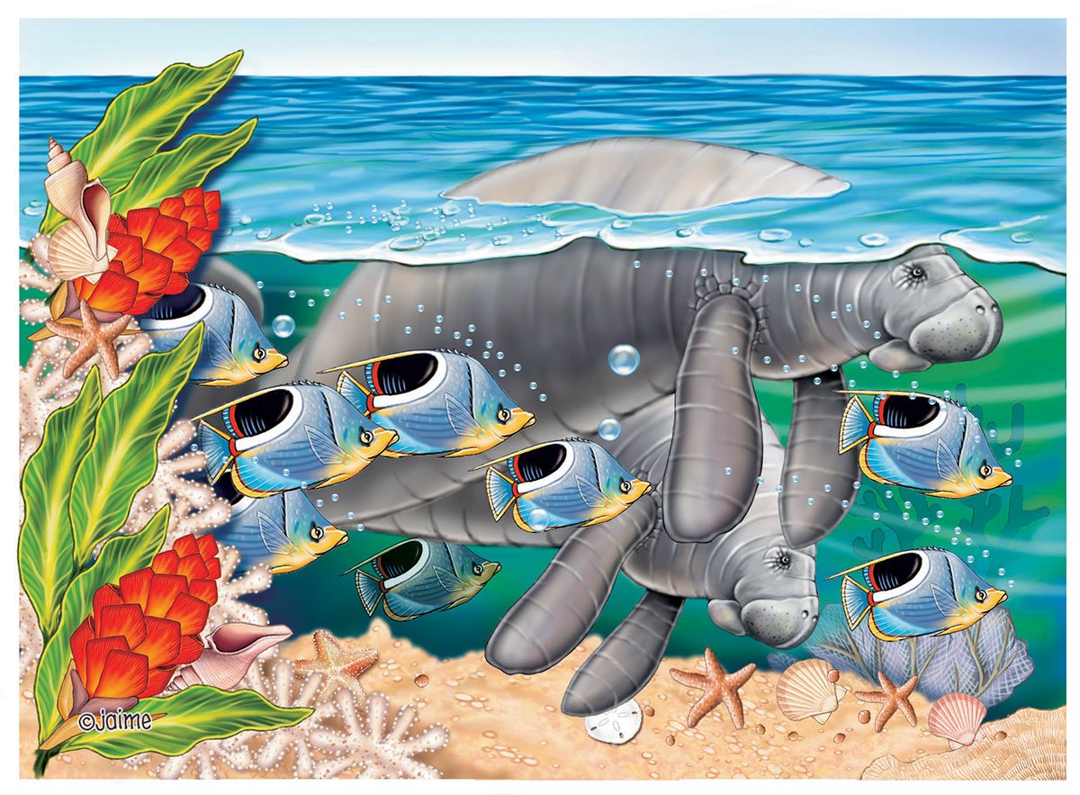 N814 MANATEES.jpg