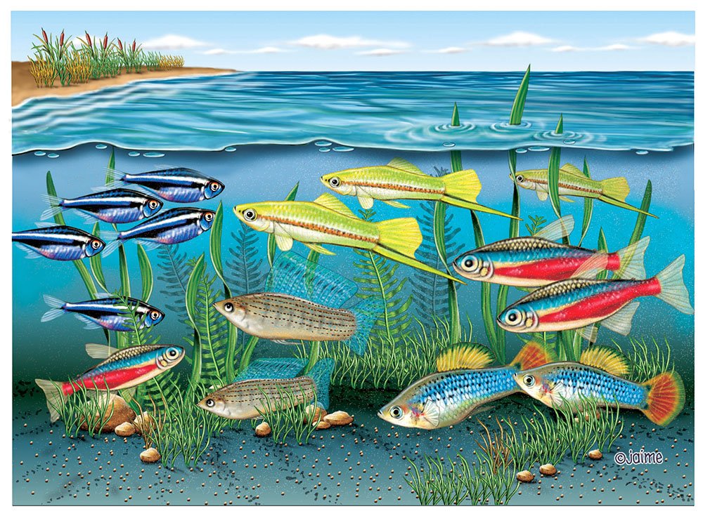 N802 TETRAS.jpg