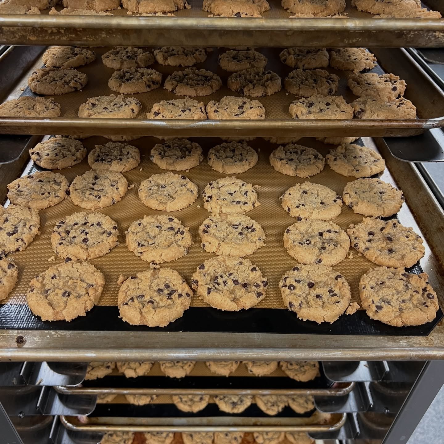 Chocolate Chip Cookies! 🍪
As always, VEGAN, GLUTEN and NUT FREE! 
Have you tried them yet?! 

Available online under &lsquo;Cookies&rsquo; https://www.gilbertandmarcel.com.au/menu/cookies
Or contact us to order 0435 055 997 😊

#vegancookie #glutenf