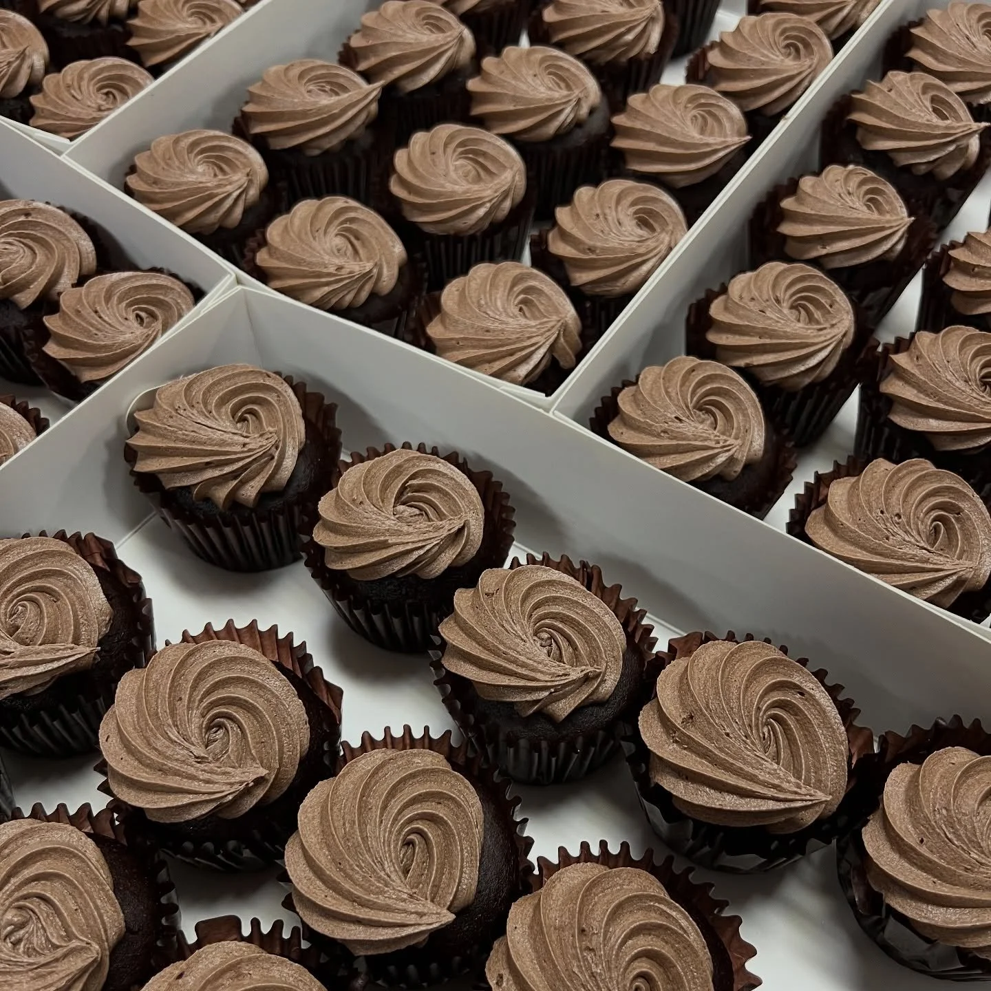 100% vegan, gluten &amp; nut free chocolate cupcakes! 🧁🍫
These are one of our most popular cupcake flavours! 😊

Find us online, or contact us to order 0435 055 997 

#vegan #veganglutenfree #glutenfree #melbourne #melbournecake #melbournecakes #gl