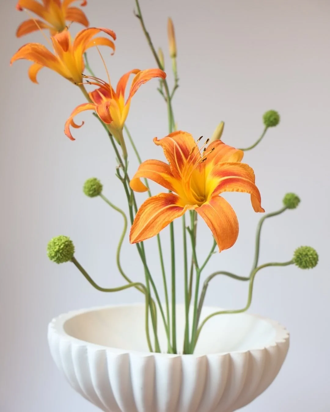 Flora and Form
