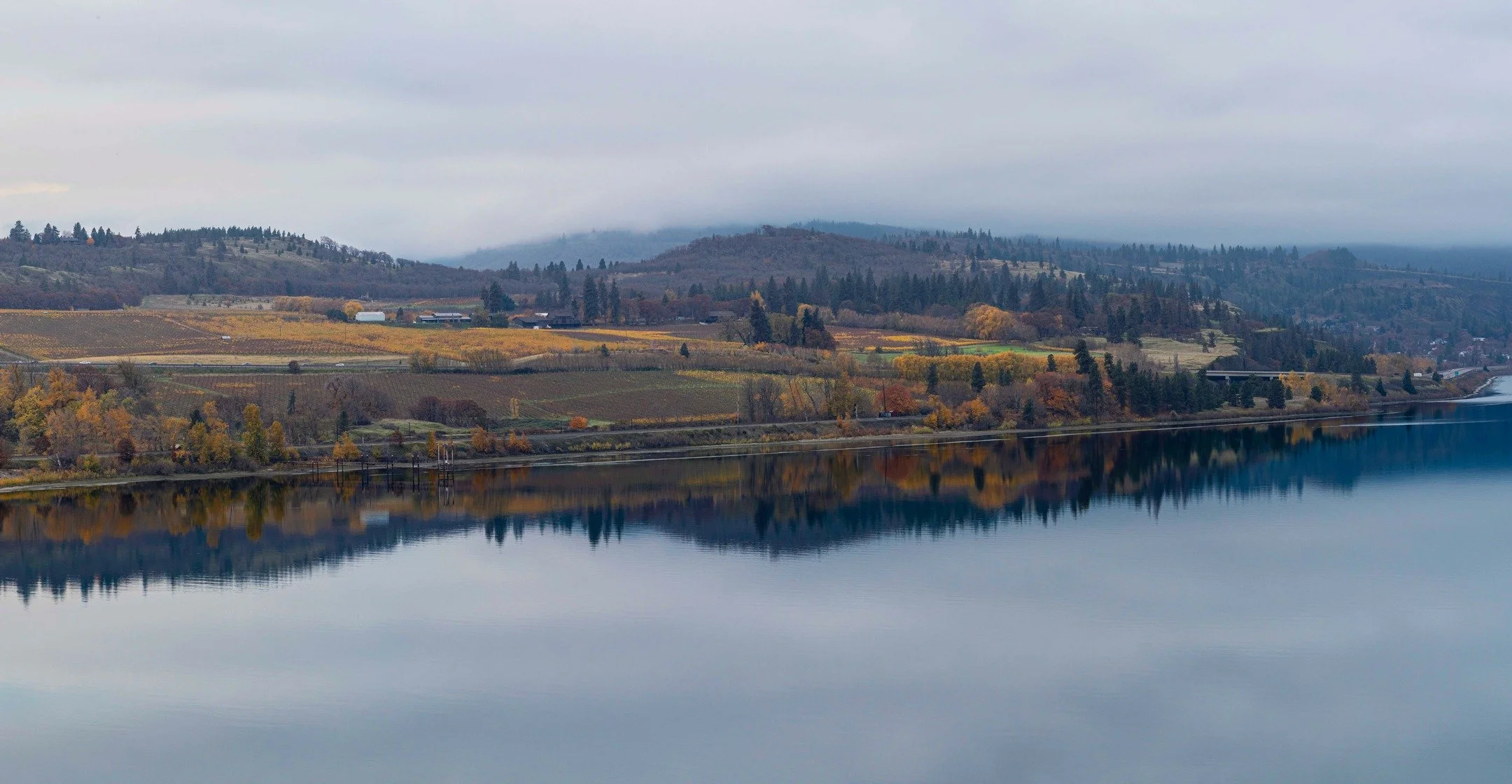 Looking at Oregon across the Columbia River from Washington. #columbiarivergorge #river #autumn #oregon #washington #fallcolors #reflections