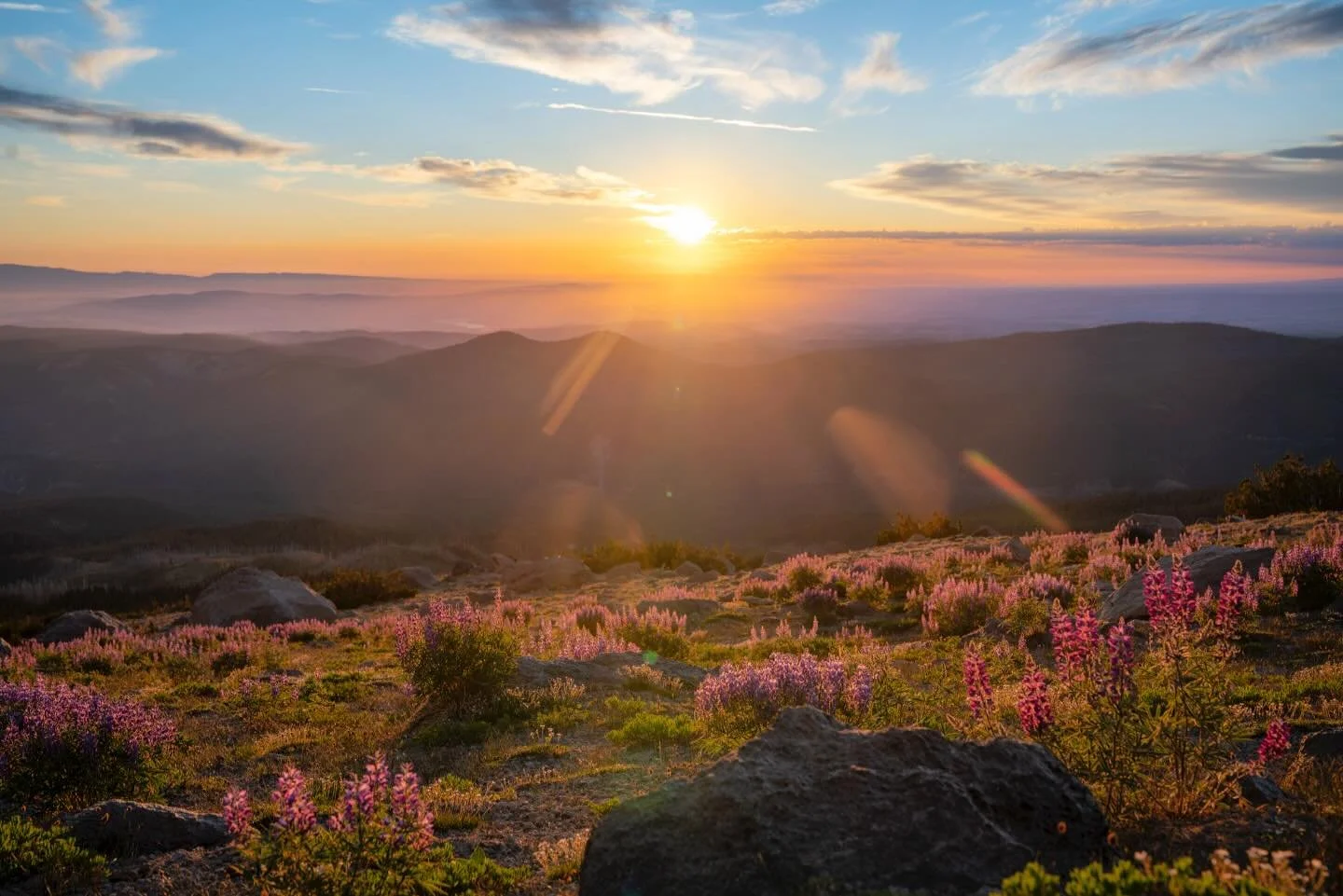 Sunrise from the mountain. #mthood #sunrise #lupine #cascades #oregon