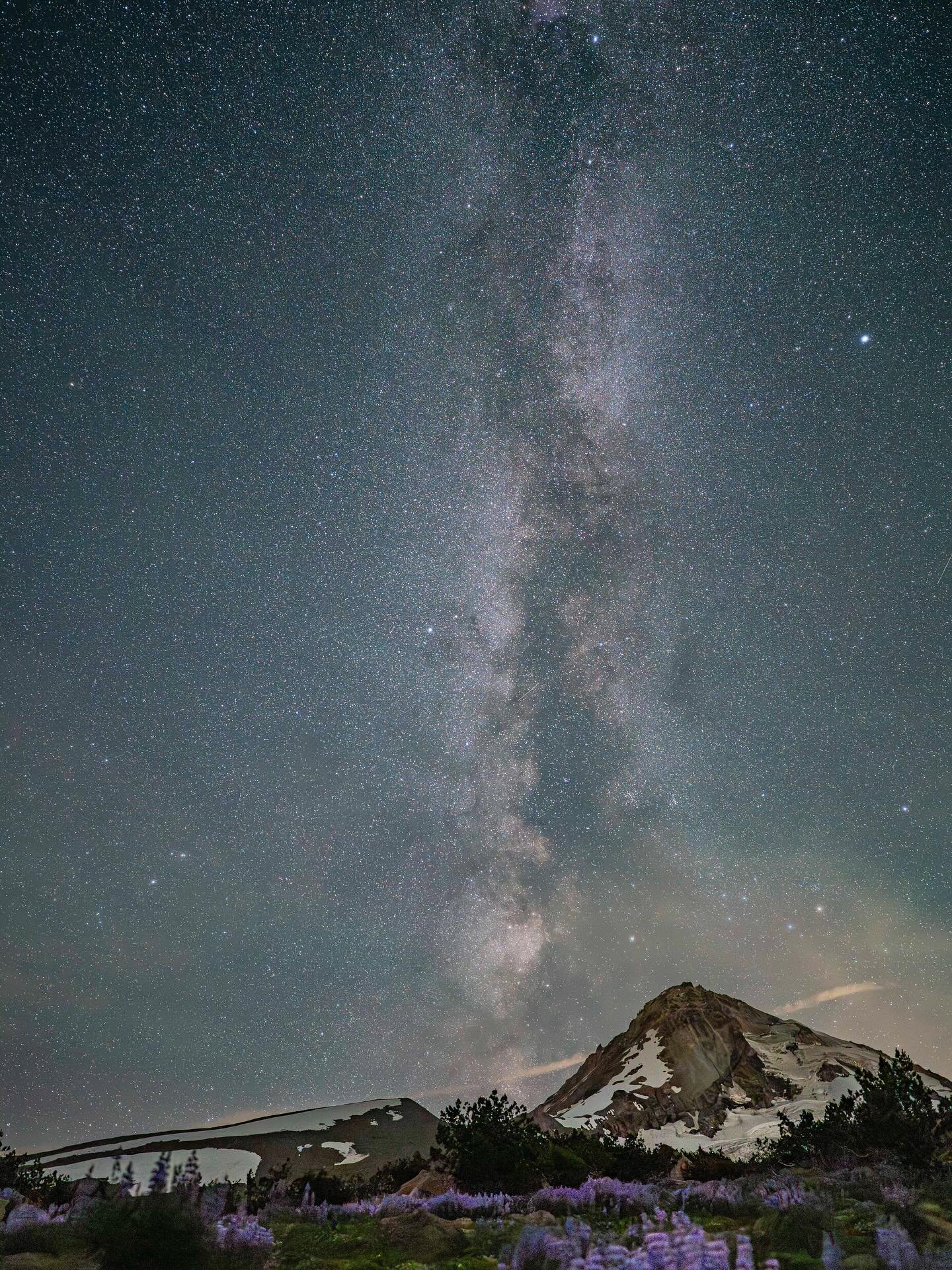 Milky Way between Mt Hood summit and Cooper Spur. I really didn&rsquo;t want to wake up and crawl out of my sleeping bag but am glad I did. #milkyway #nightsky #lupine #mthood #cascades #oregon