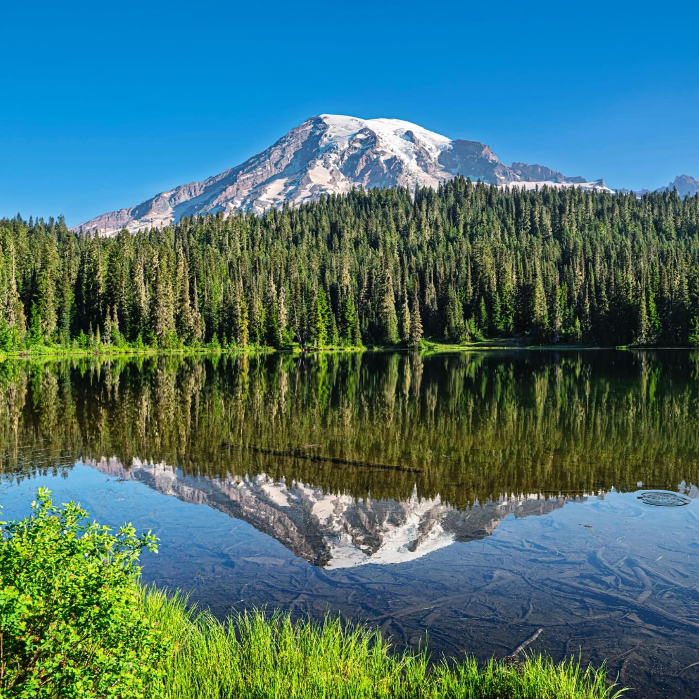 Mt Rainier from Reflection Lakes #washington #mtrainier #mtrainiernationalpark #mountains #cascades