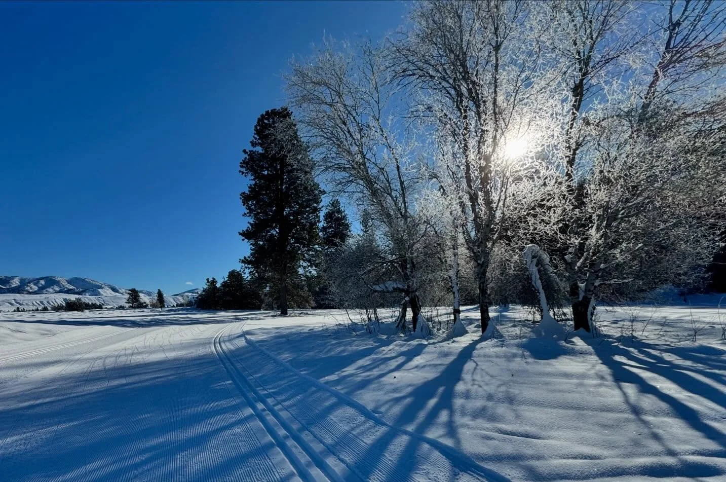 Skiing in the Methow Valley #winthropwa #washingtonstate #methowvalley #xcskiing #winter