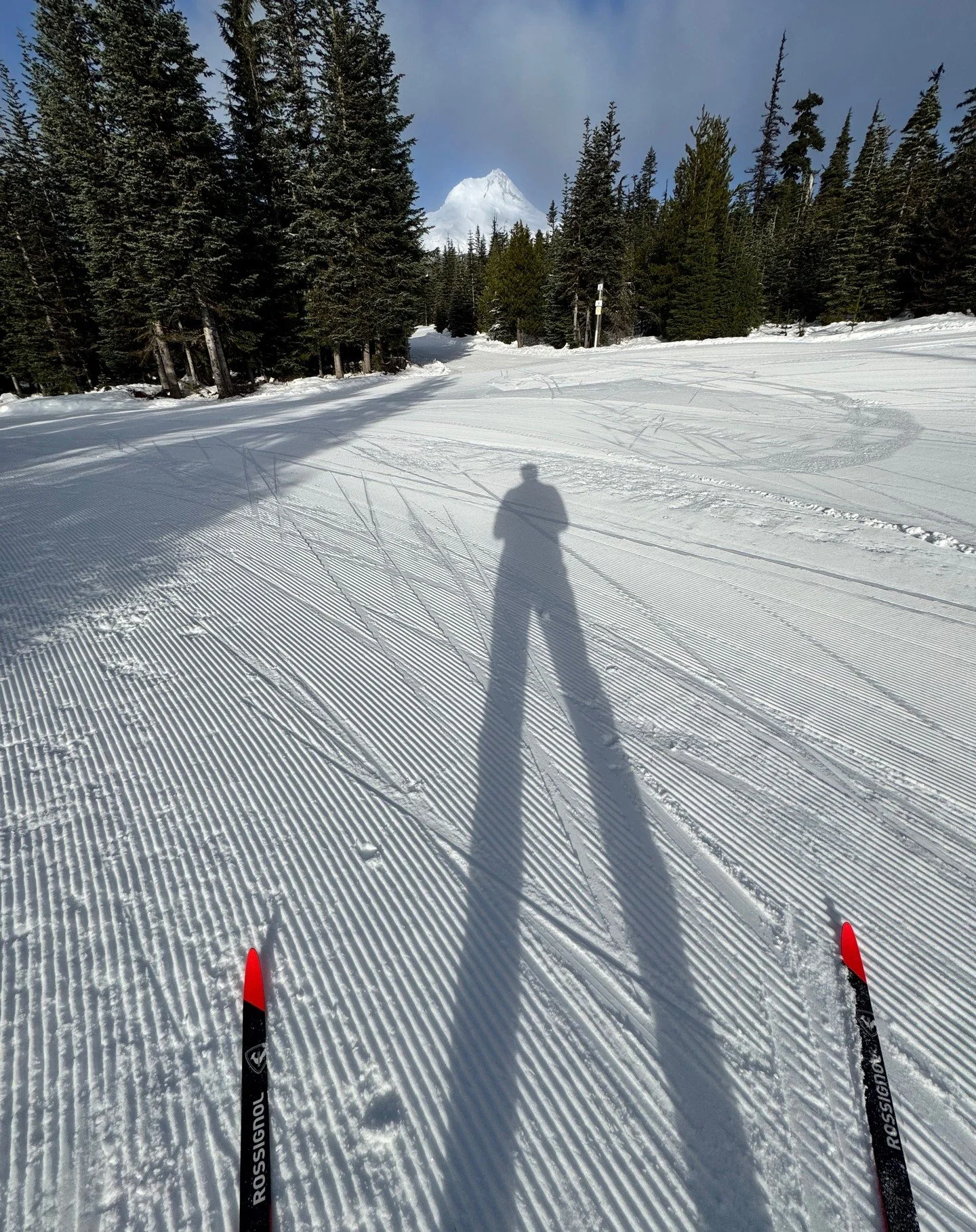 Skate skiing: newish to me, but I love it. Life has been in the way of getting out over the past few weeks, but can't wait to get back up to @teacupnordic