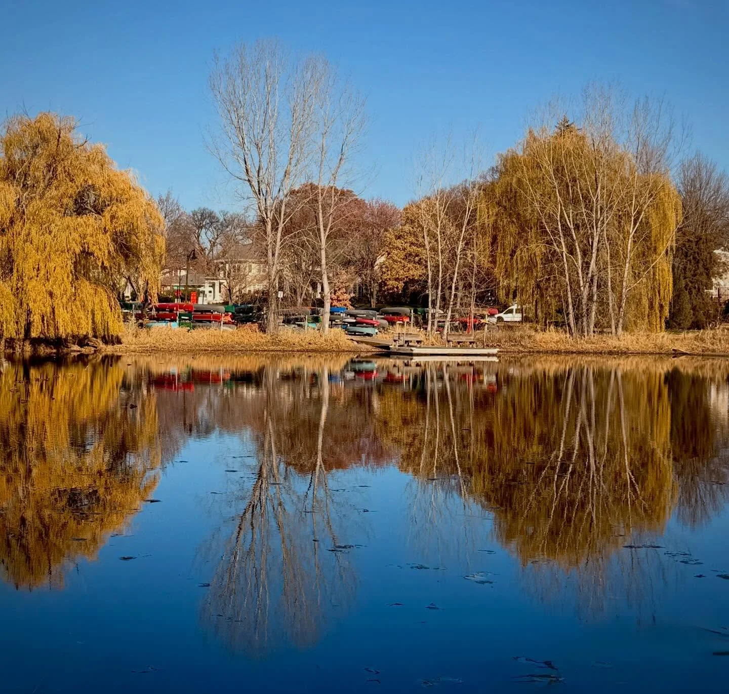Brilliant day for a walk around Lake of the Isles in Minneapolis. #minnesota #autumn #lakeoftheisles #homeland #sunshine #canoe
