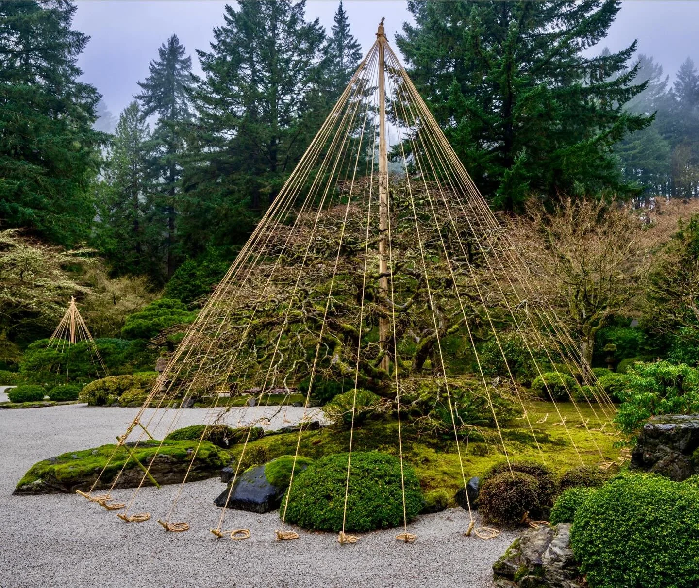 Getting ready for winter. The gardeners at the Portland Japanese Garden have been crafting these yukitsuri (the conical rope structures) to protect the trees from winter snows and ice. While it&rsquo;s been quite warm and rainy here so far, I&rsquo;m