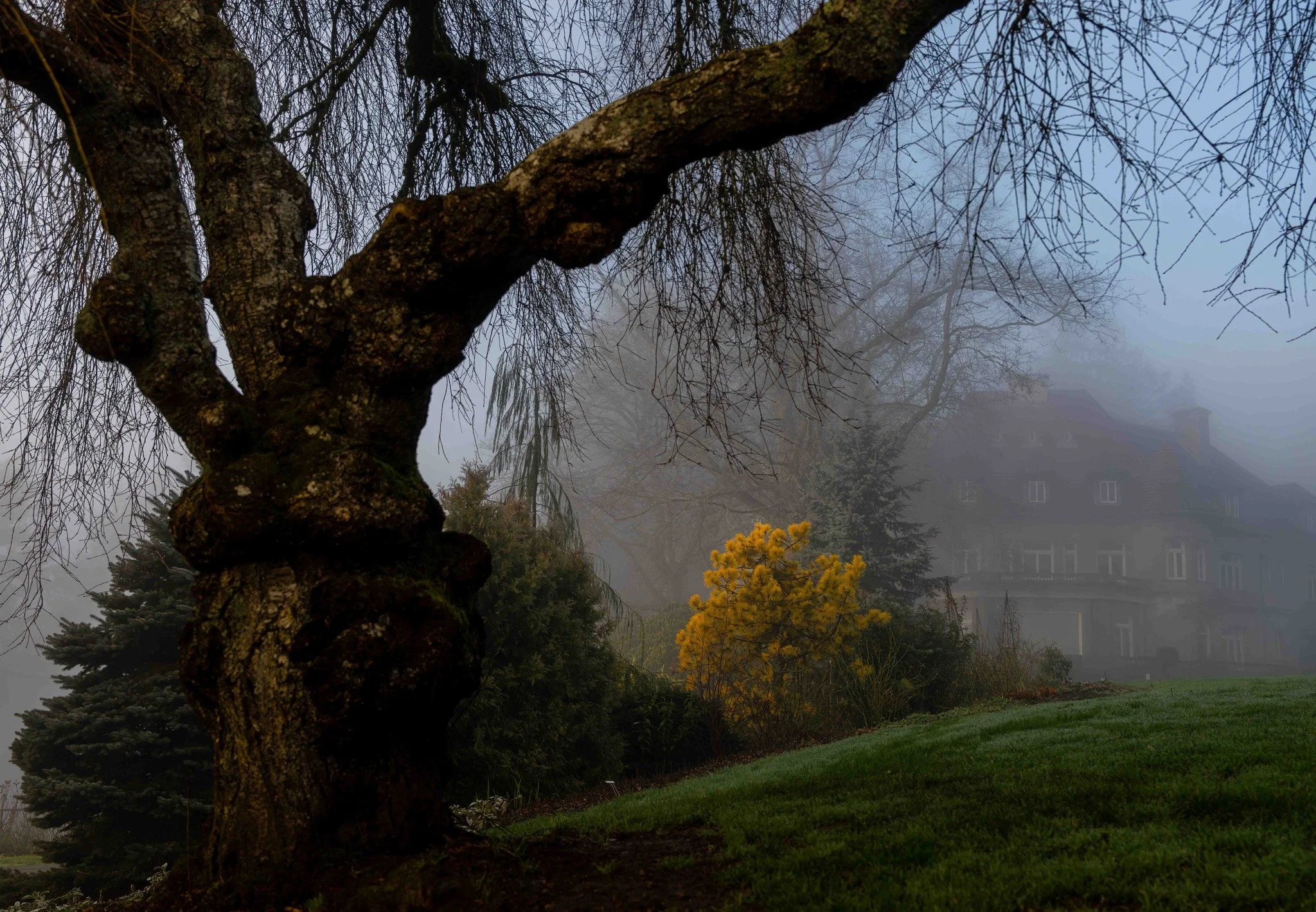 Pittock Mansion emerges from the fog and clouds on a sunny winter day. Henry Pittock claimed to be the first to summit Mt Hood (in 1857) and was one of the founding members of the Mazamas in 1894. His mansion is in Portland's West Hills and overlooks