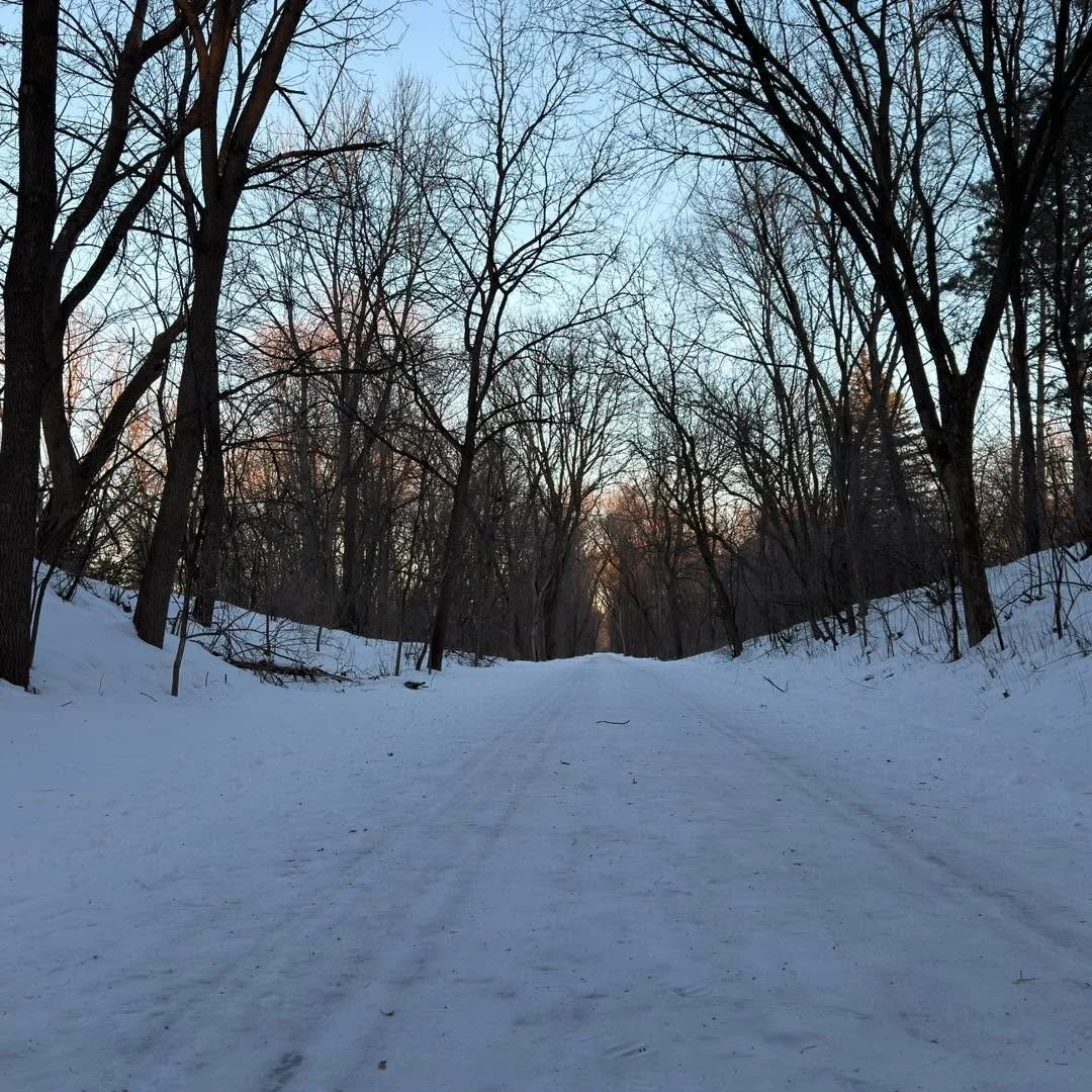 An afternoon winter walk. #minnetonka #minneapolis #minnesota #winter #cold #snow #woods
