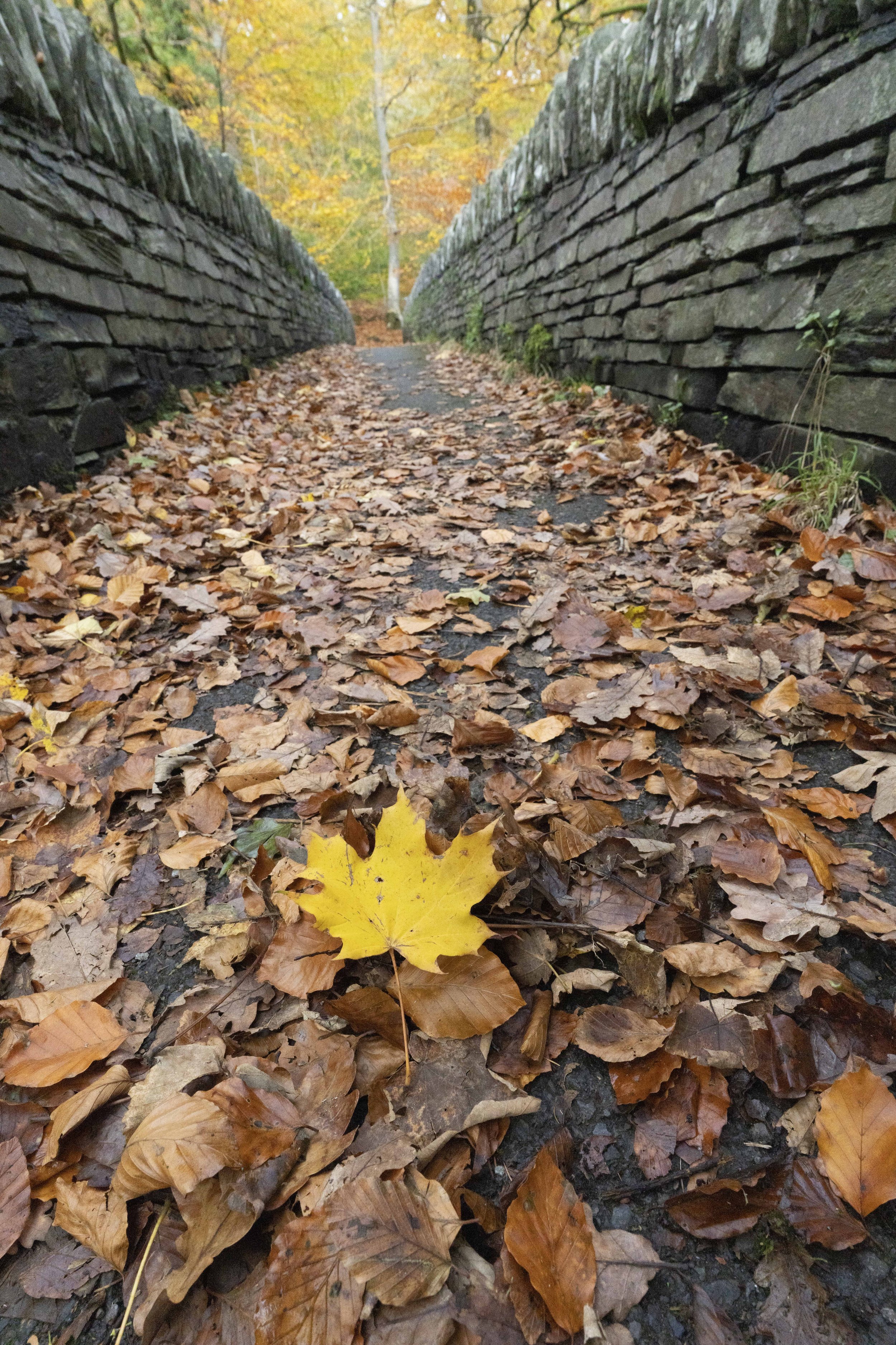 Lake District, England