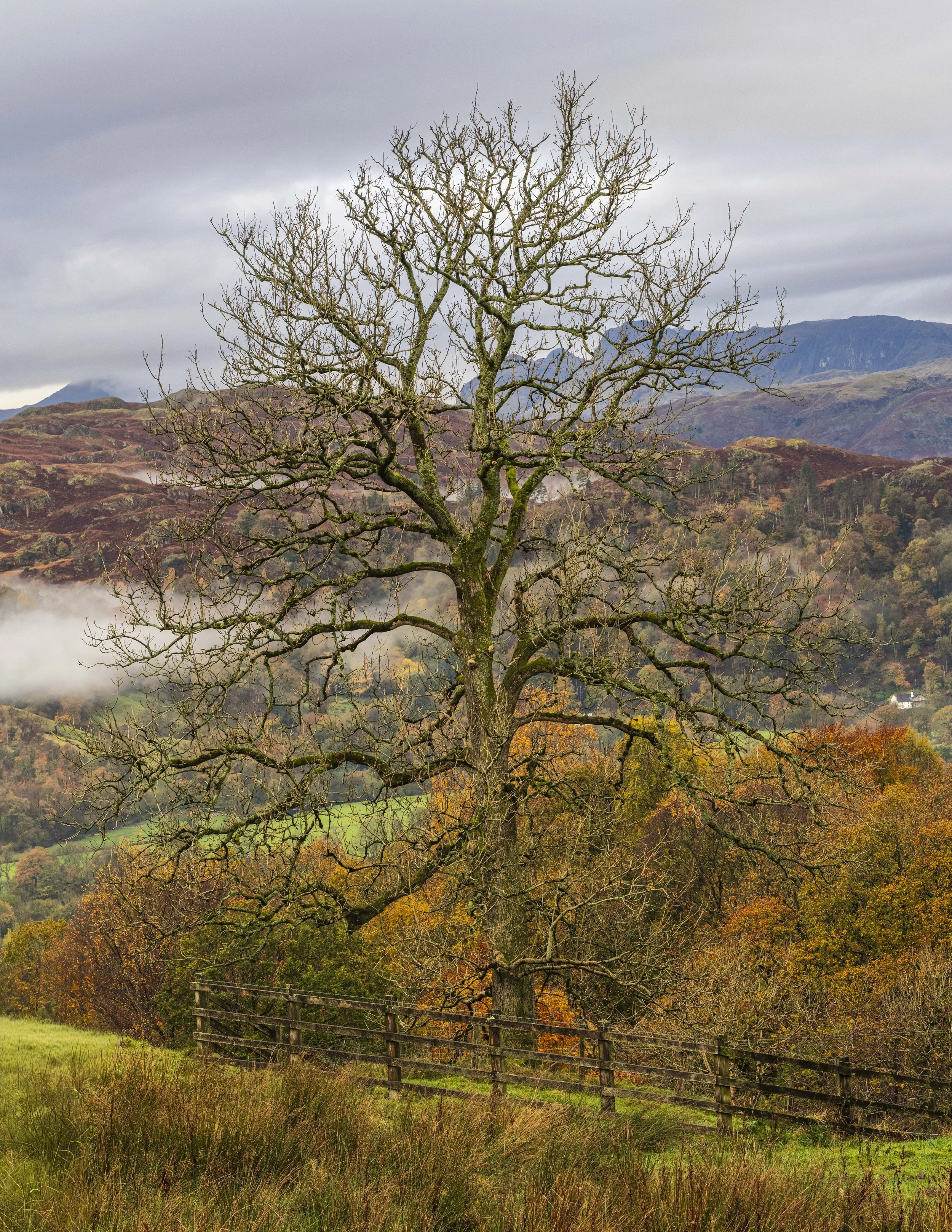 Wansfell, Lake District, England