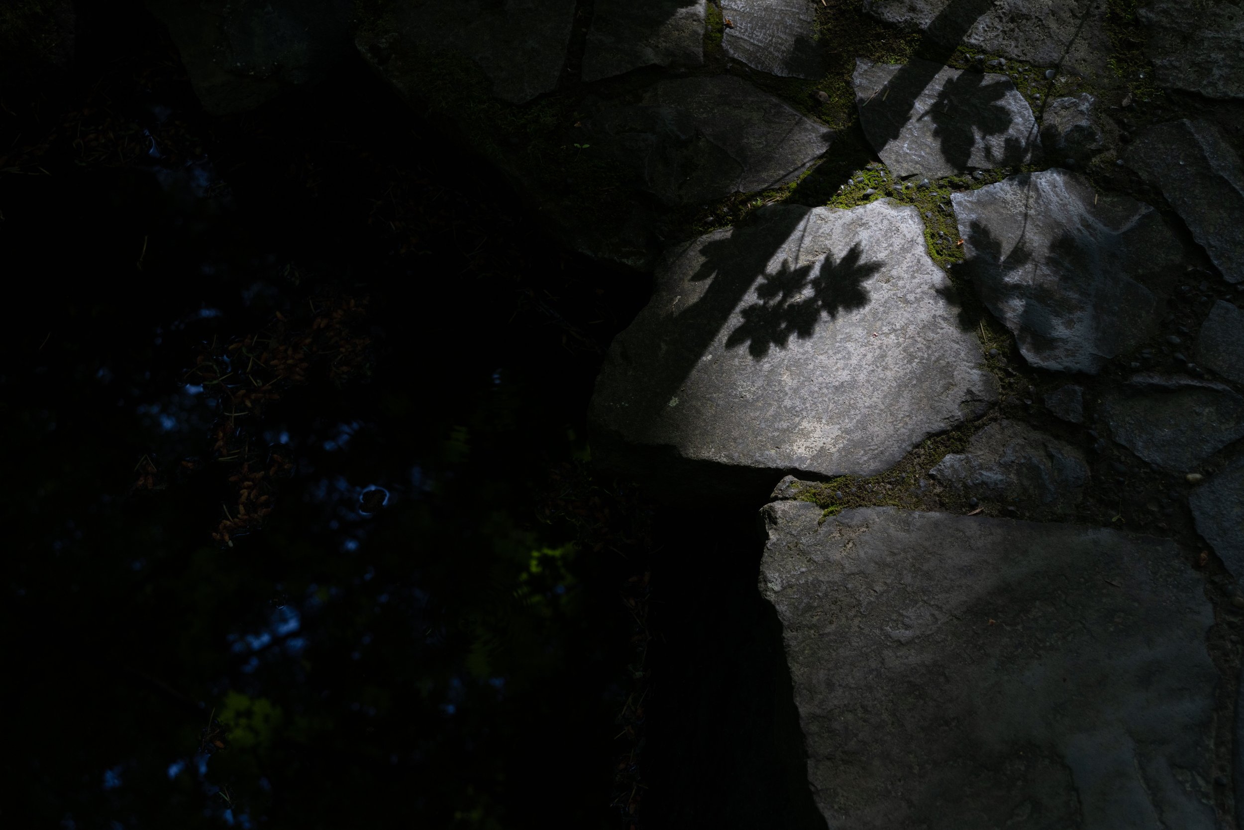 Portland Japanese Garden