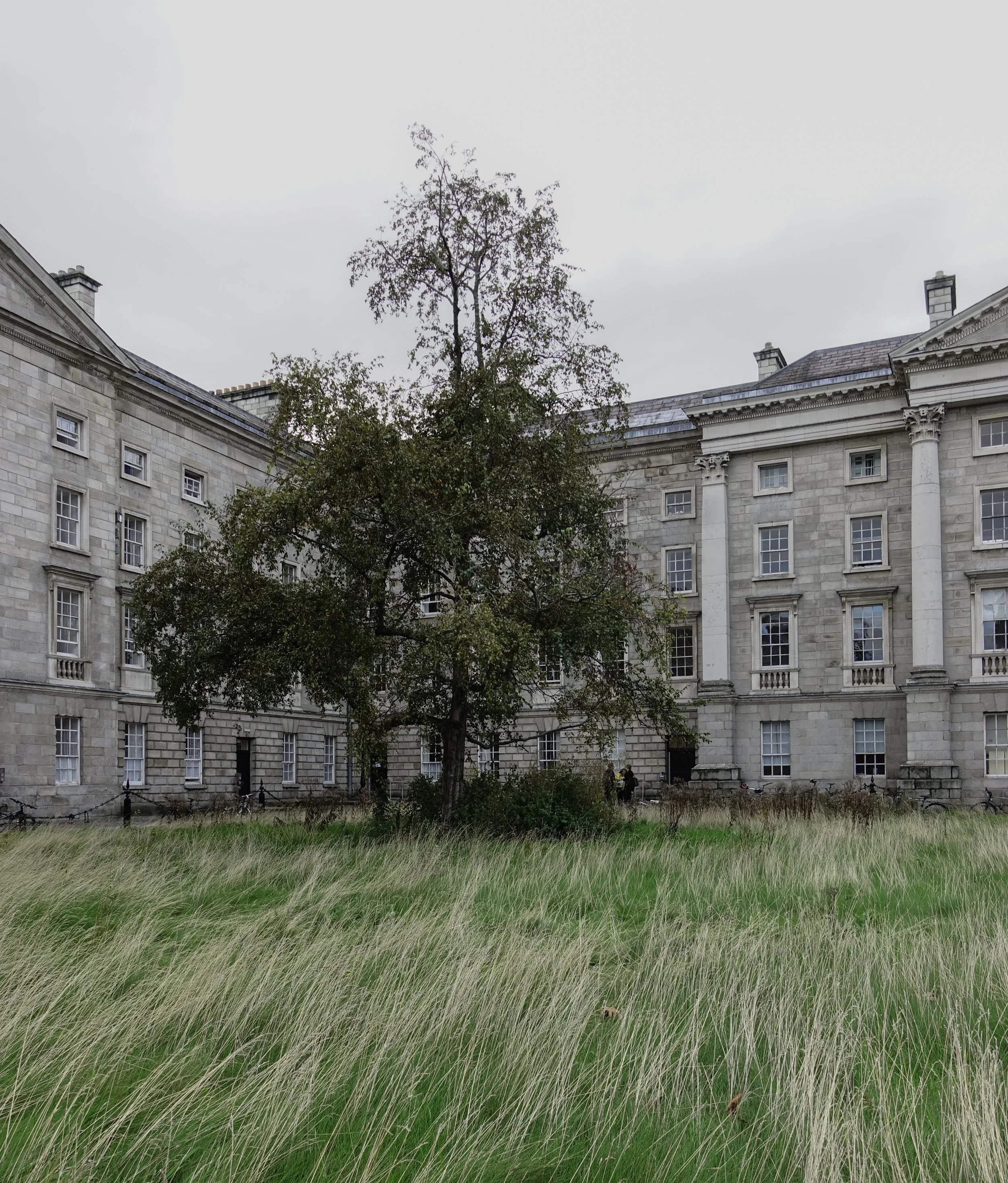 Trinity College, Dublin