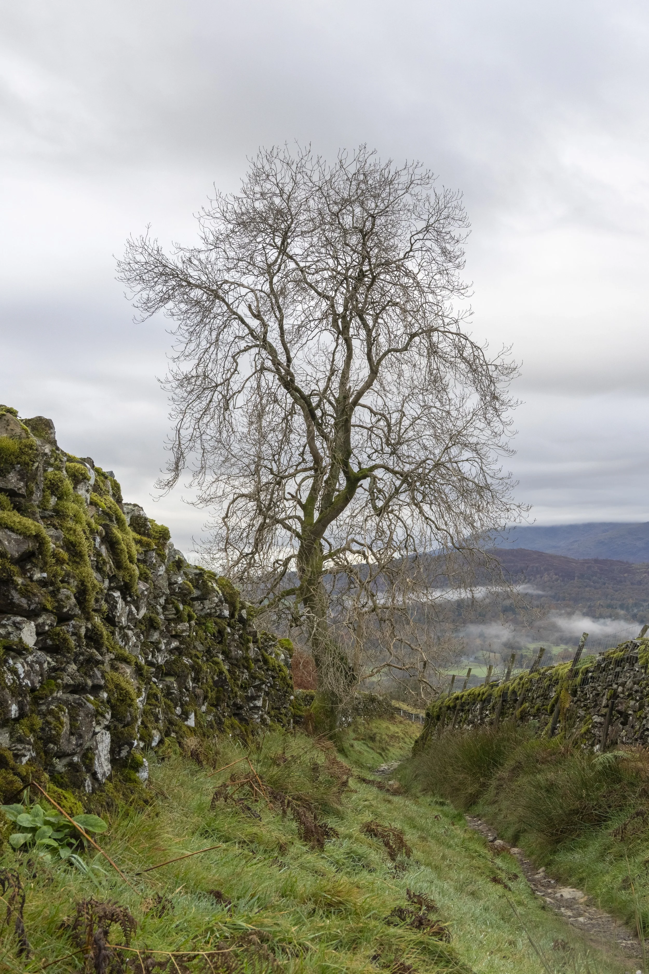 Lake District, England