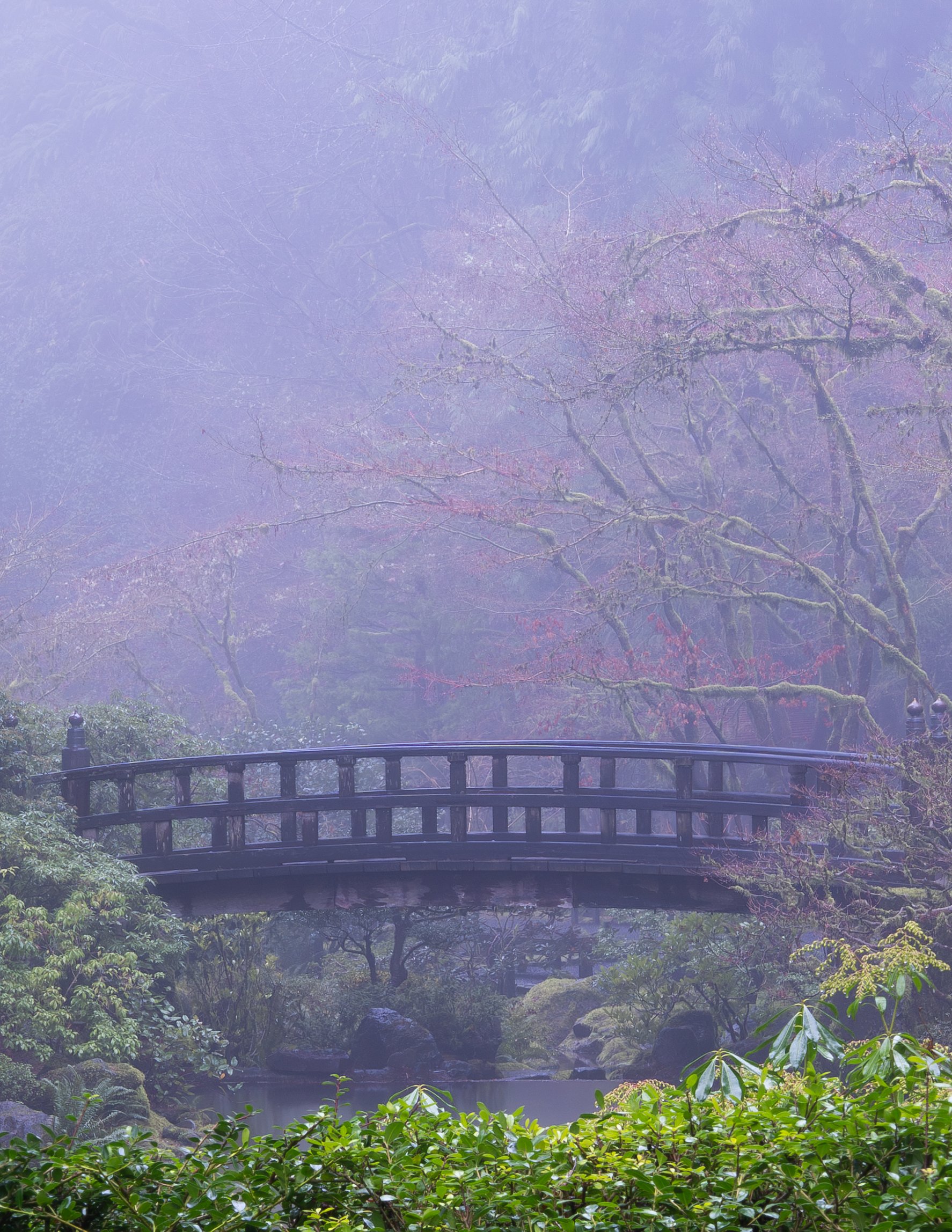 Portland Japanese Garden