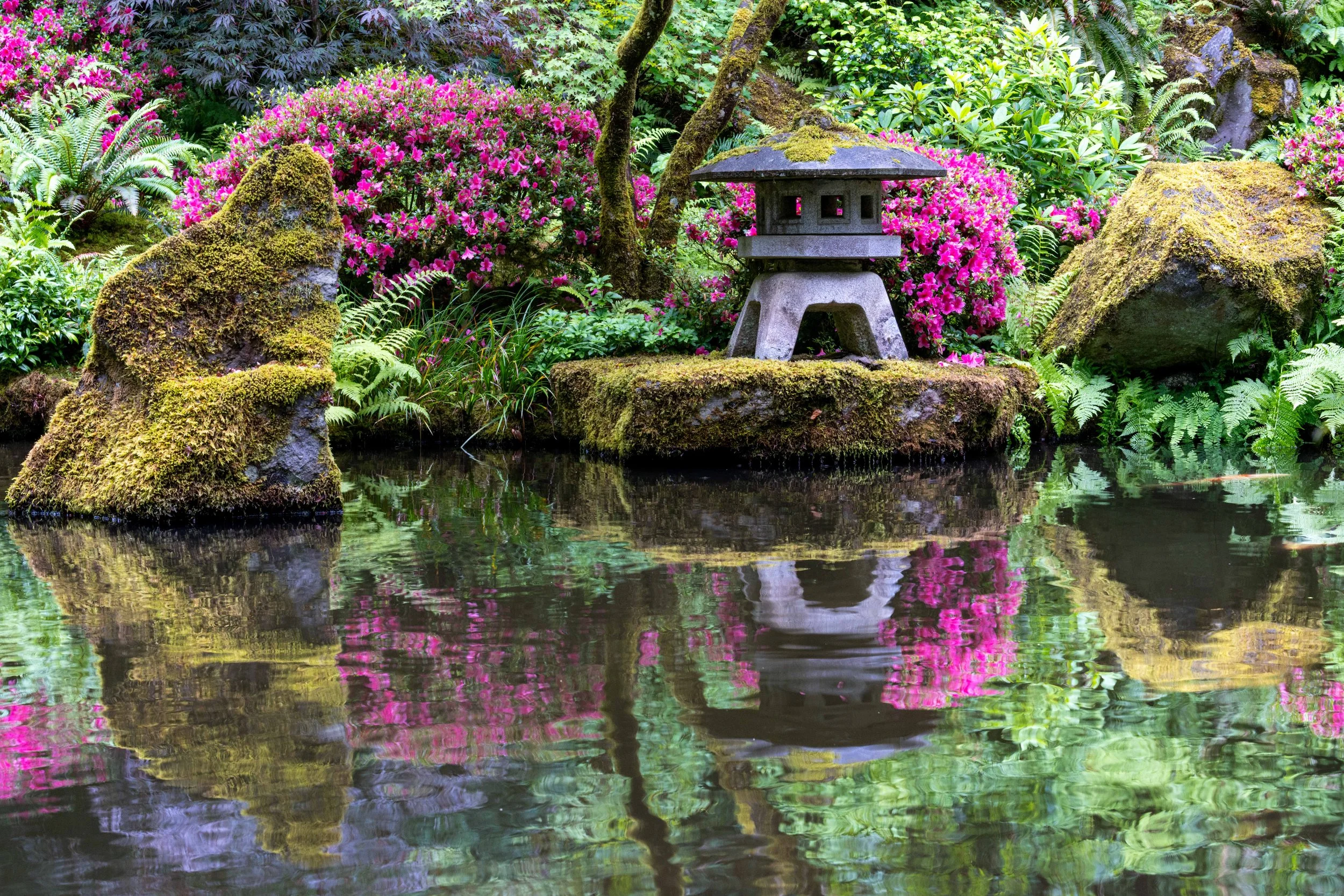 Portland Japanese Garden