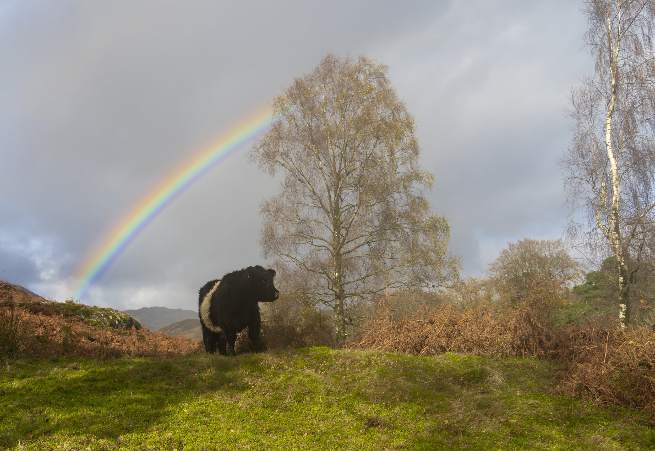 Lake District, England