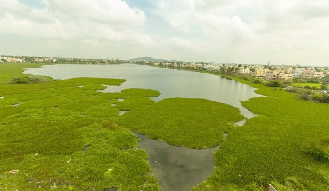RESTORATION OF SEMBAKKAM LAKE IN CHENNAI

Chennai in Tamil Nadu is India&rsquo;s 6th largest city and one of the largest cultural, economic and educational centers in south India. It used to be a part of a greater wetland area with many lakes and riv