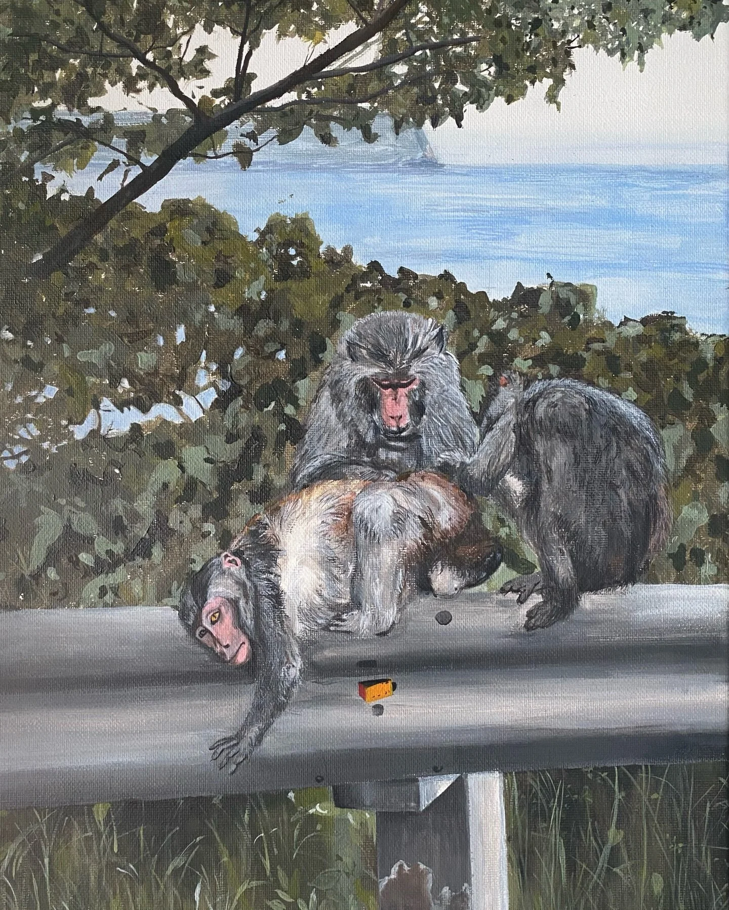 Monkey know! 🙊🙈🙉 Cham island, Vietnam 2025 A3 Acrylic