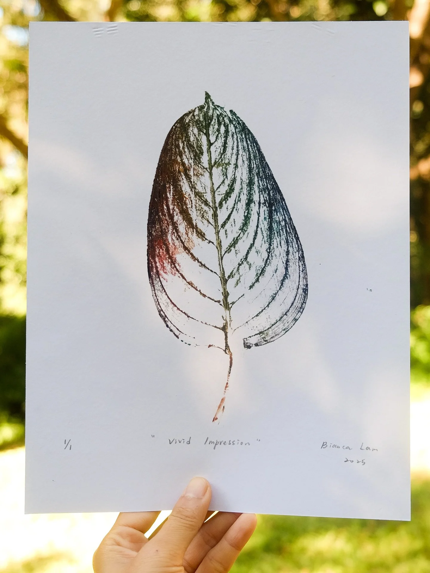 Some random prints from the surroundings🍃🪶