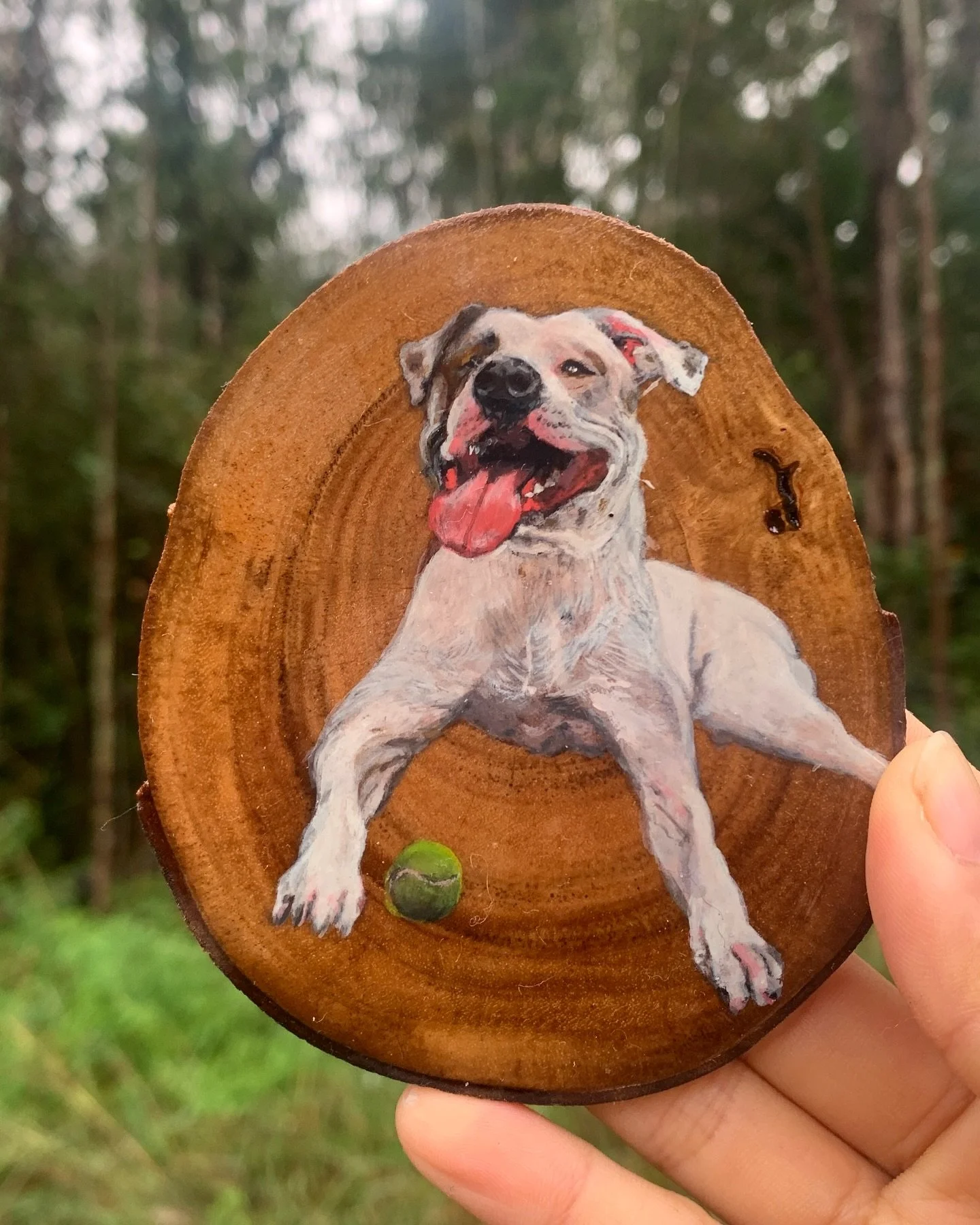 Daisy 🐶 and Yuka 🐾
Some of my fav pet portraits recently🌼
June commissions are open! Perfect gift idea💝