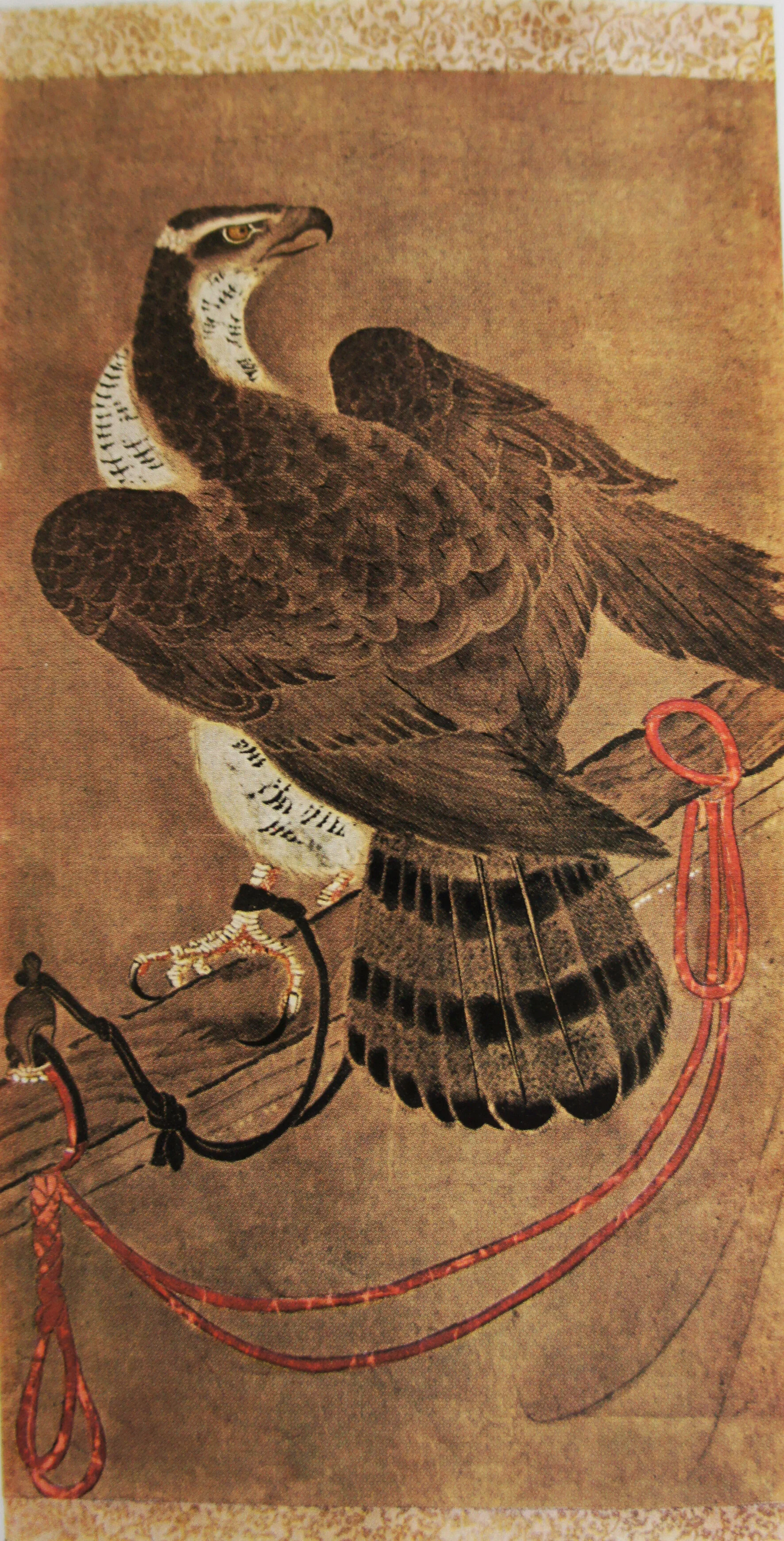 Goshawk on screen perch.  The work of an unknown artist of the Meiji Period. 