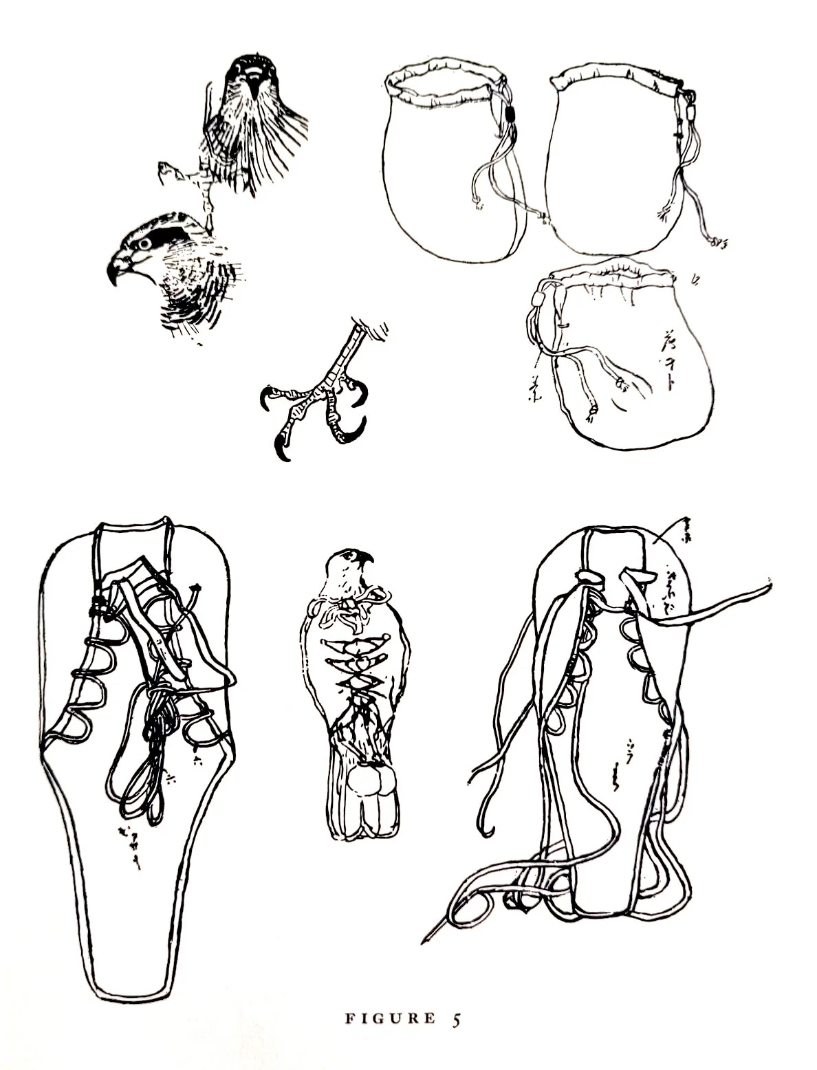 Sack (fuseginu) and its use. Upper left and center, heads and foot of hawk, showing degree of coping. Upper right, small bags to restrain feet. Lower left and right, fuseginu. Lower center, goshawk in fuseginu. From scroll (makimono) by Doiku Kawanab
