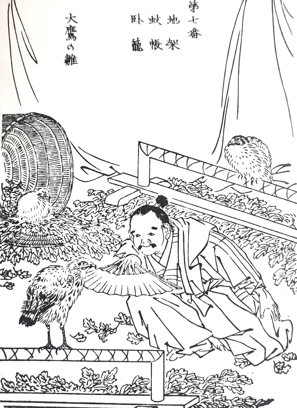 Care of young eyasses, showing birds on jiboko, beneath which is spread mogusa. From Ehon Taka Kagami. 